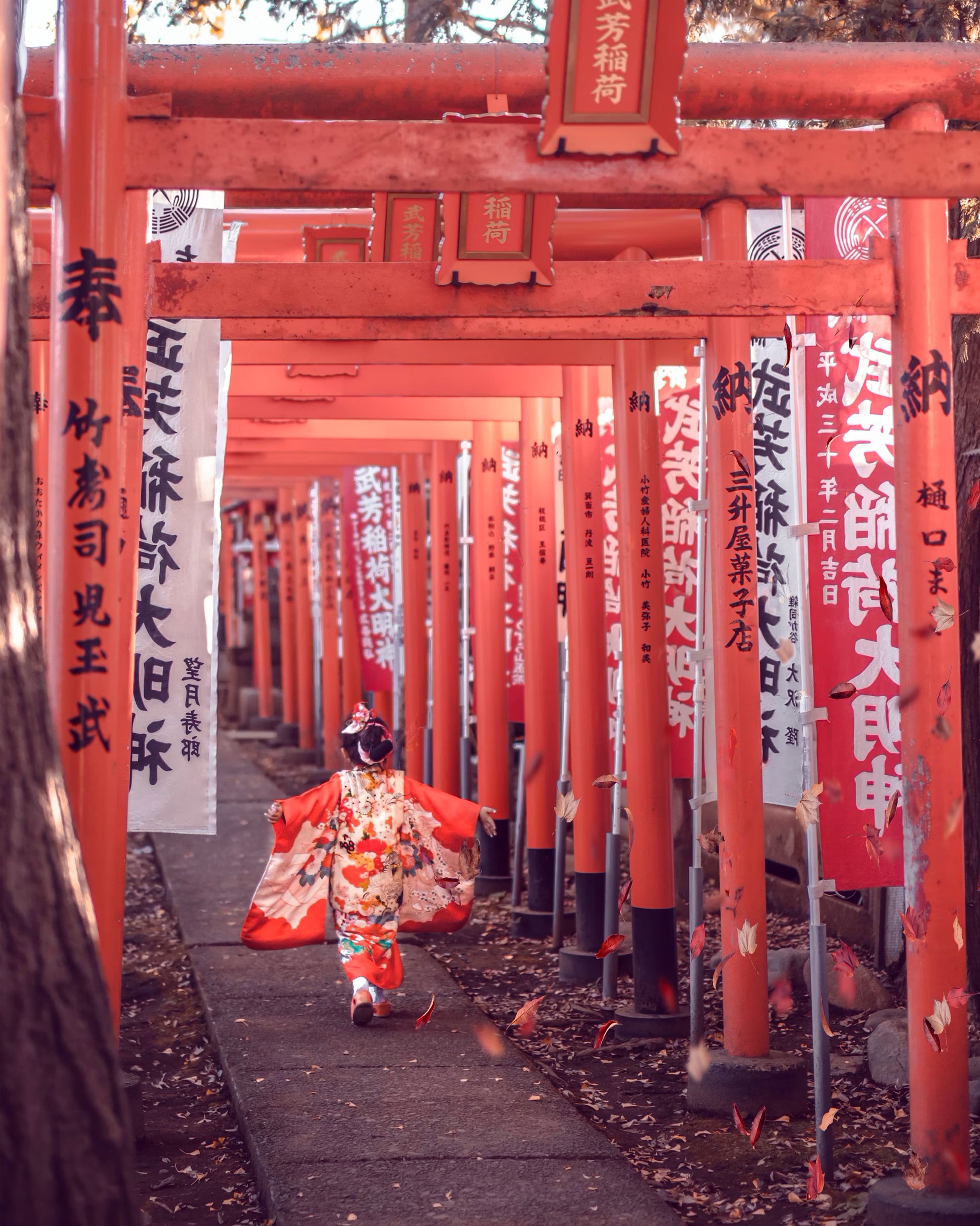 Journey Through Kansai: Discover the Cultural Heart of Japan curated by Eva Wang