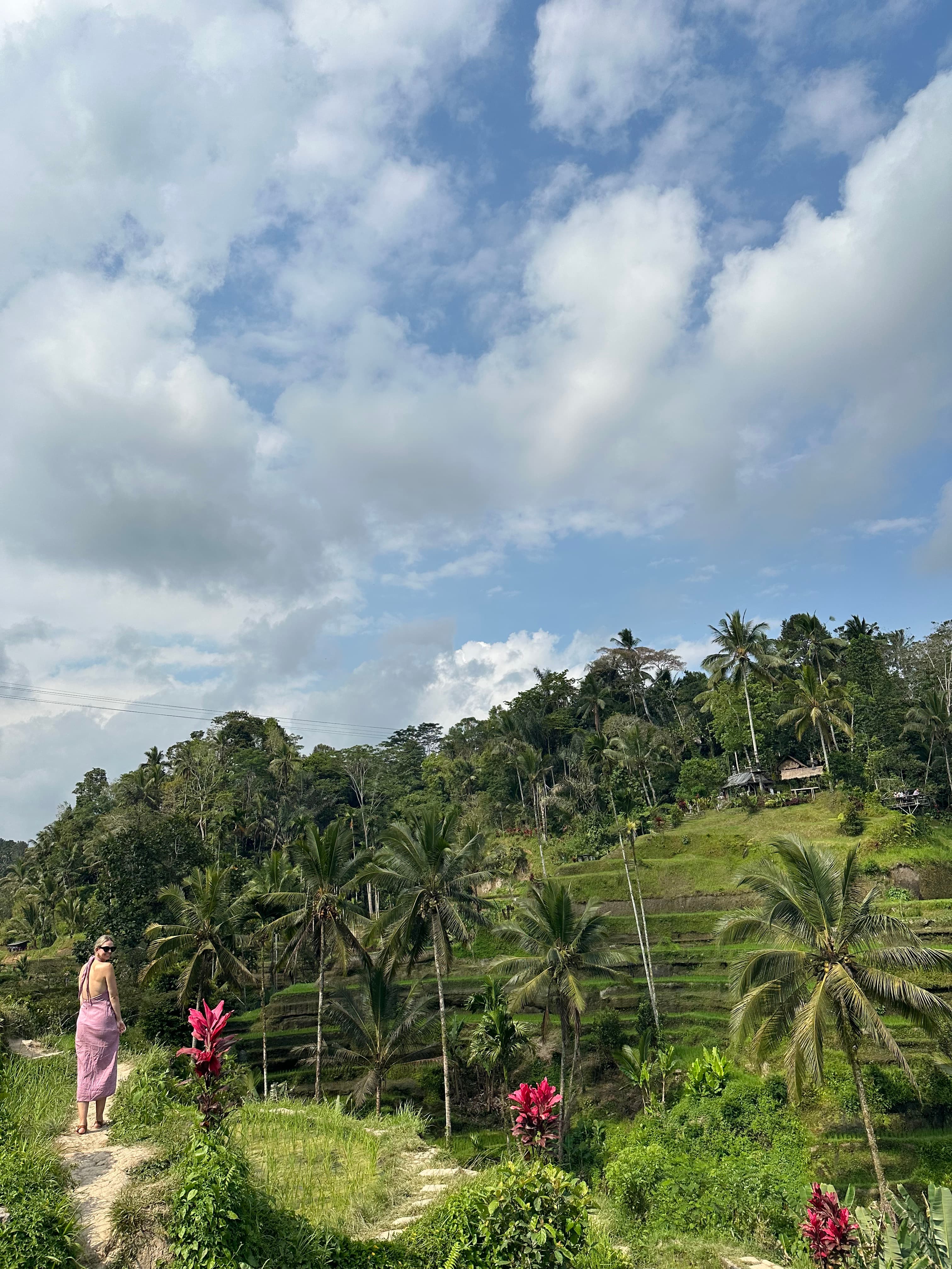 Singapore & Bali: The Perfect Honeymoon curated by Allison Sikula