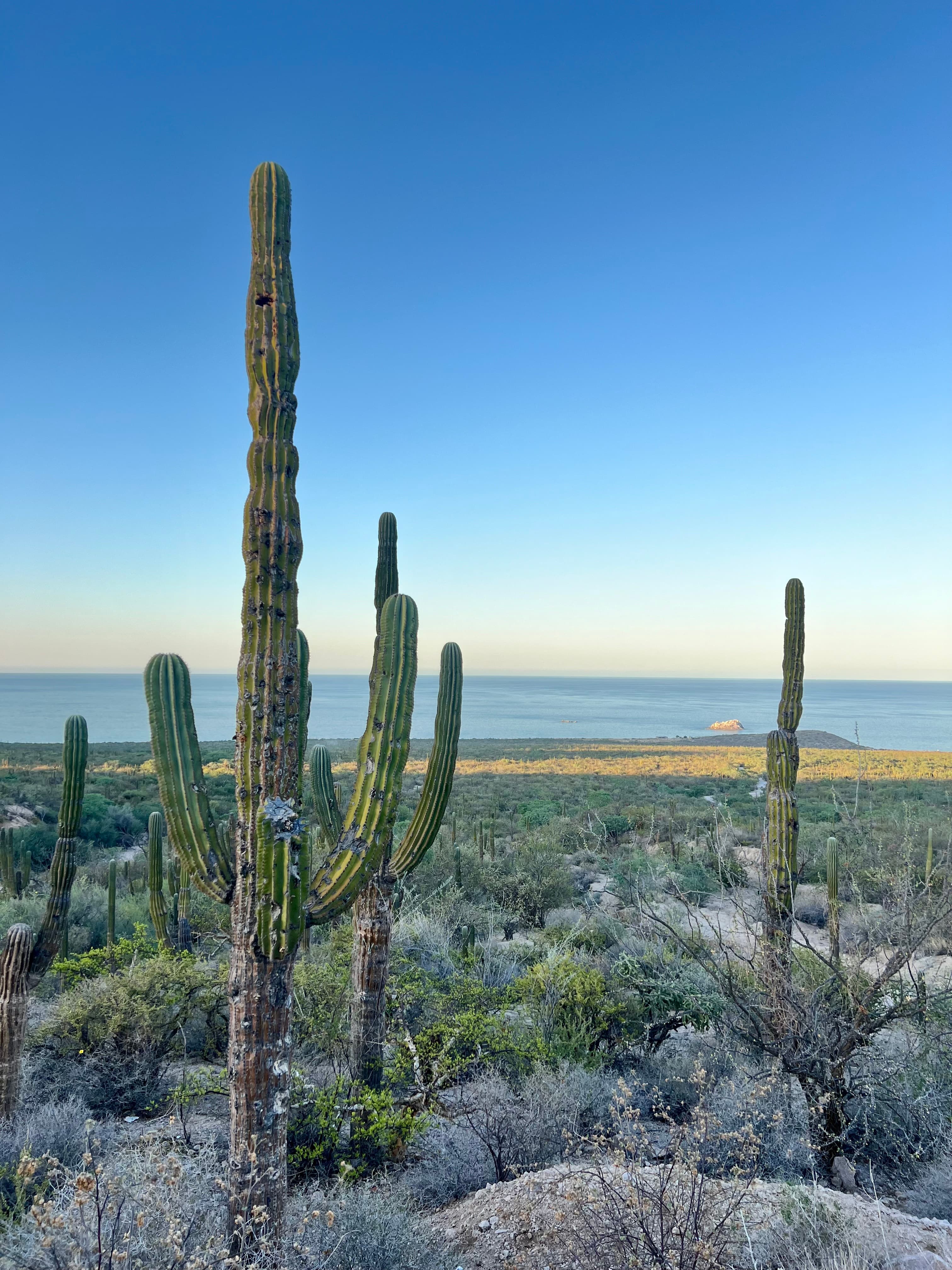 La Paz, Mexico: Baja Beyond Cabo curated by Hallie Riswold