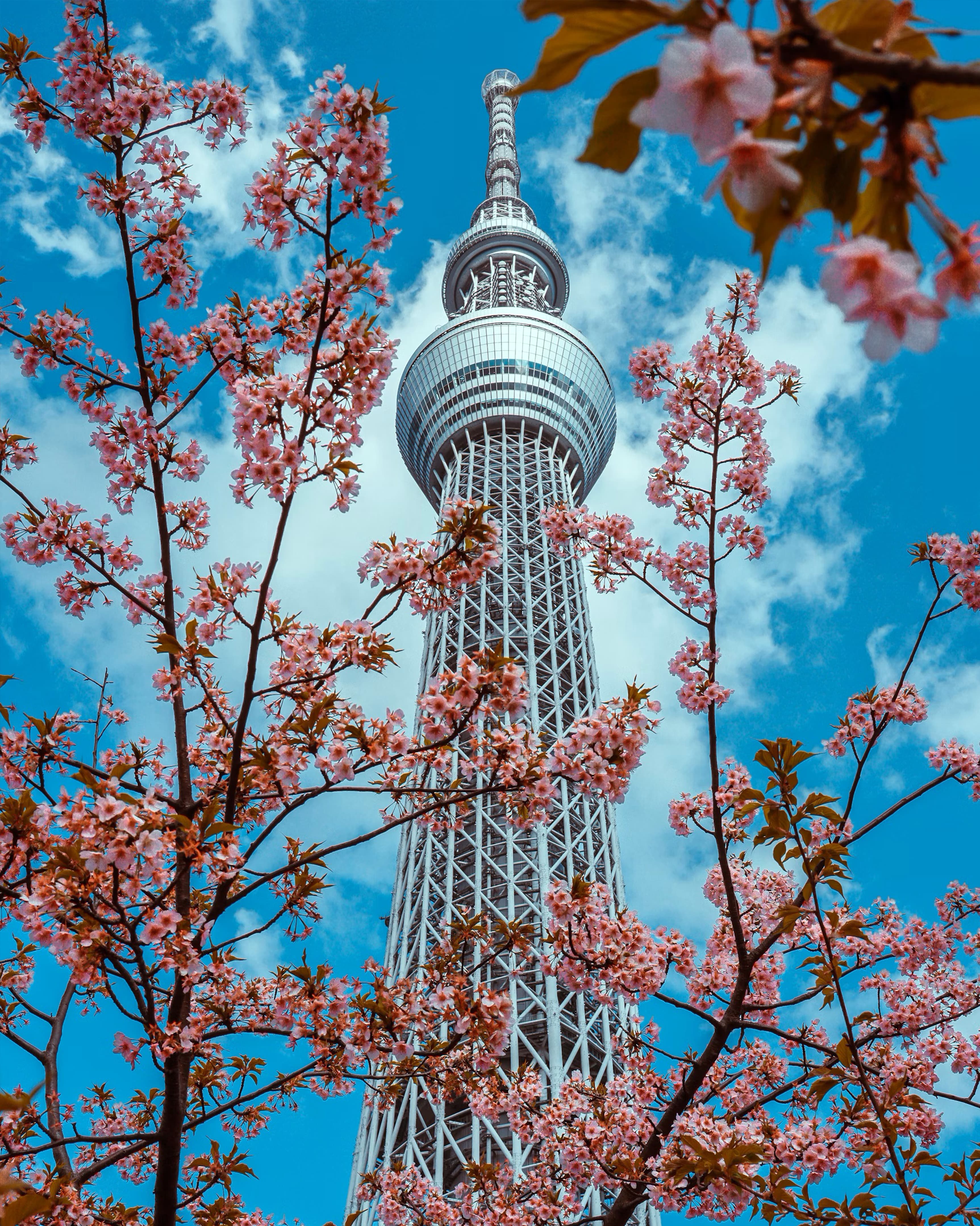 Tokyo Travel Gold: Landmarks, Local Eats & Hidden Streets You Can’t Miss curated by Eva Wang