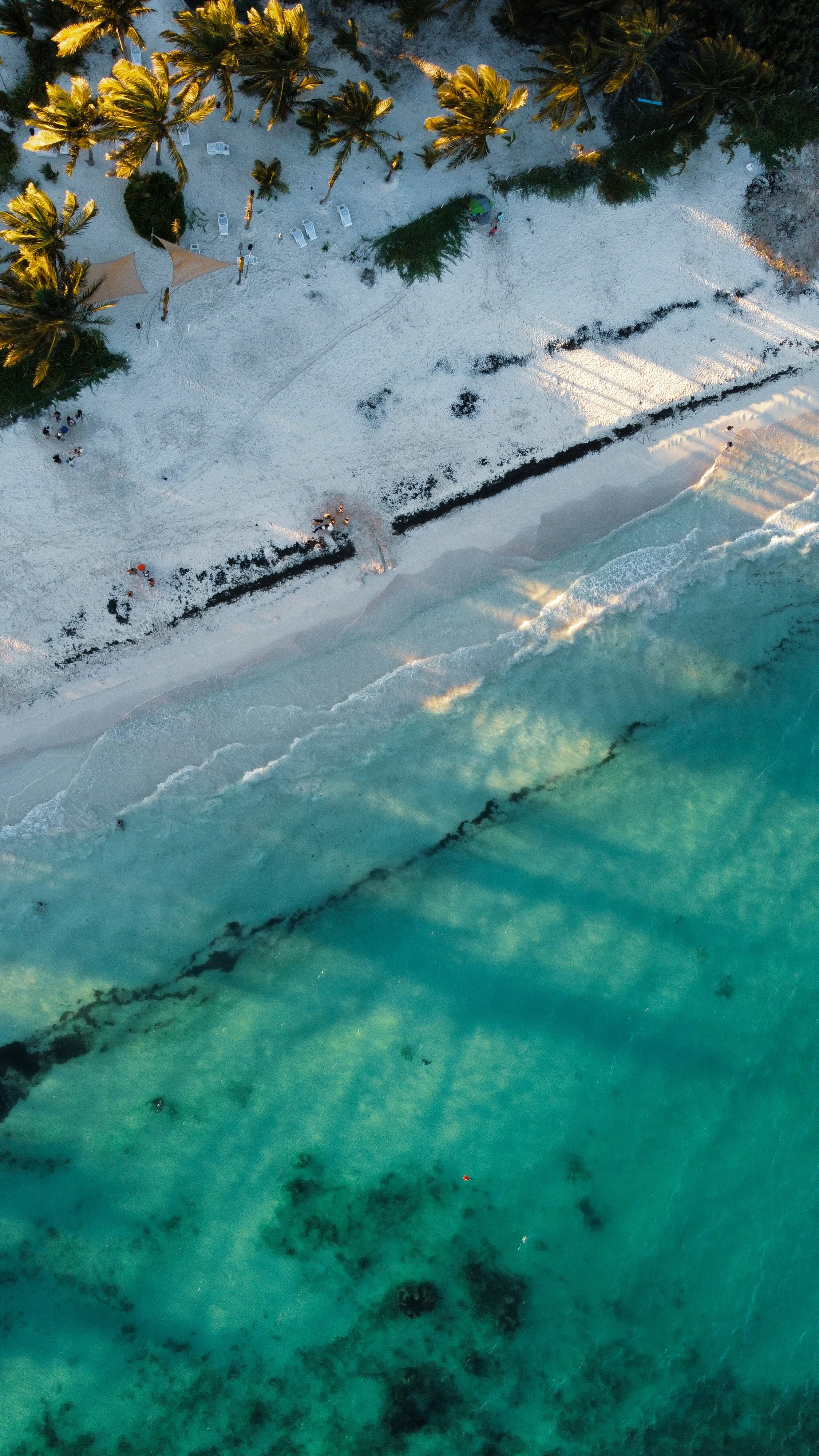 A Playa del Carmen Handbook curated by Melissa Pacheco