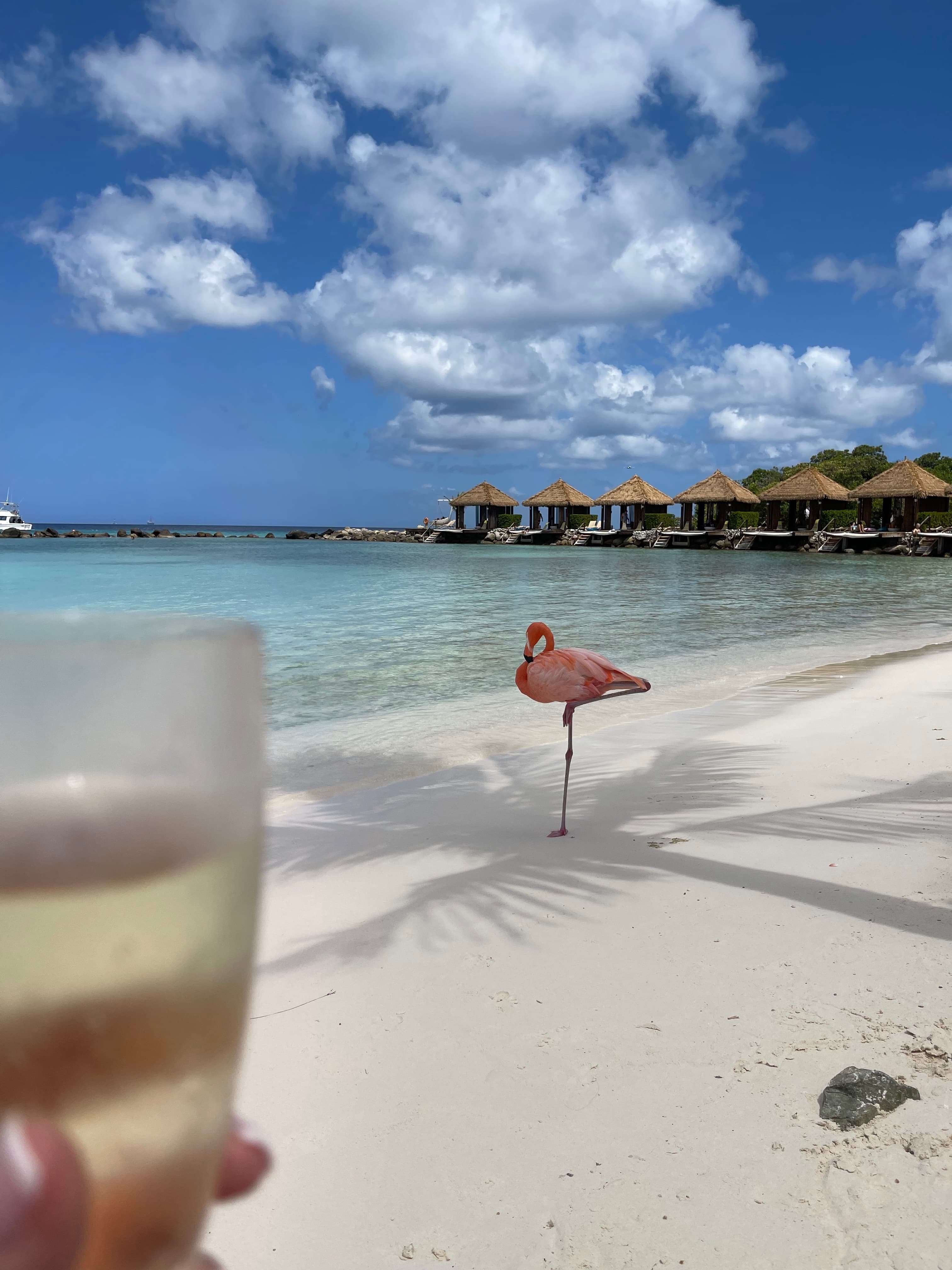 Aruba Awaits: One Happy Island Elevated curated by Angela Picarelli