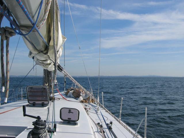 Travel photo 1