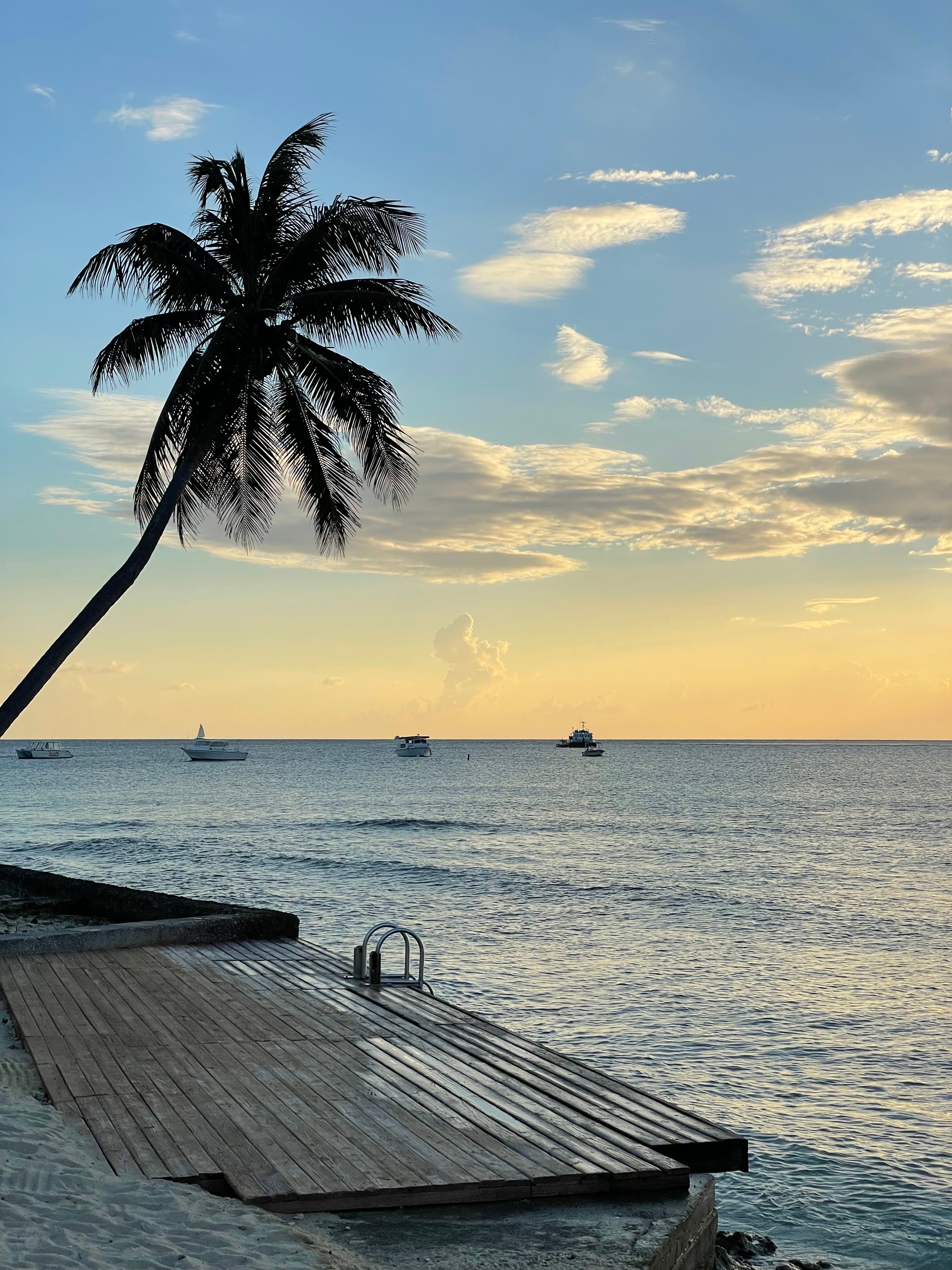 How to Spend One Unforgettable Week in Grand Cayman curated by Lindsay Insler