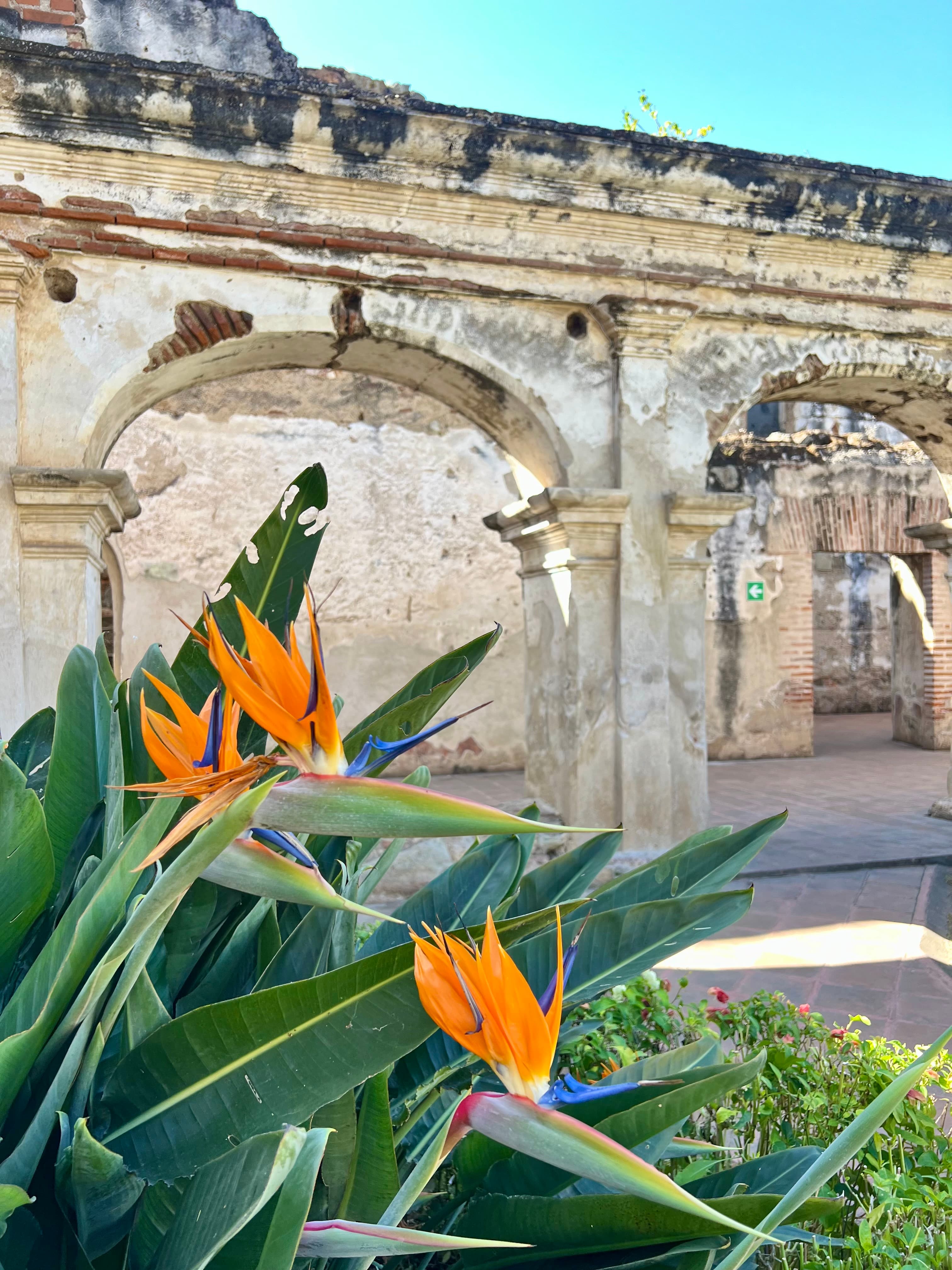 Antigua Awaits: A Guide to Guatemala’s Colonial Gem curated by Hallie Riswold