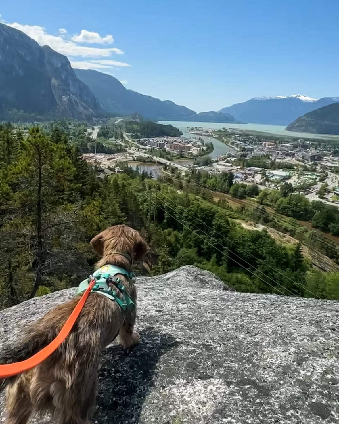 A Resident’s Guide to Squamish: Pet-Friendly Picks and More curated by Aliza Bodzin