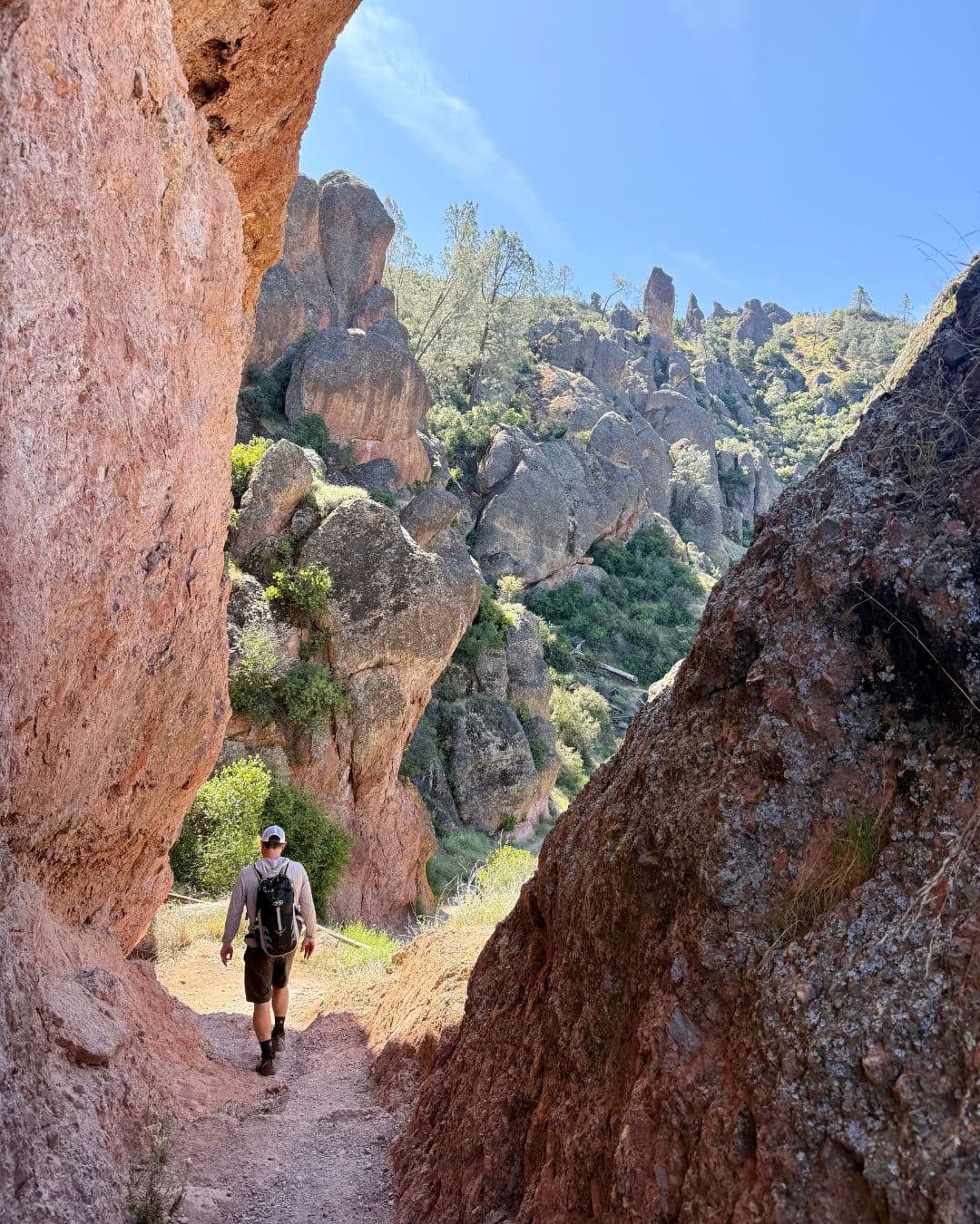 A Guide to Pinnacles National Park curated by Elisse Tweet