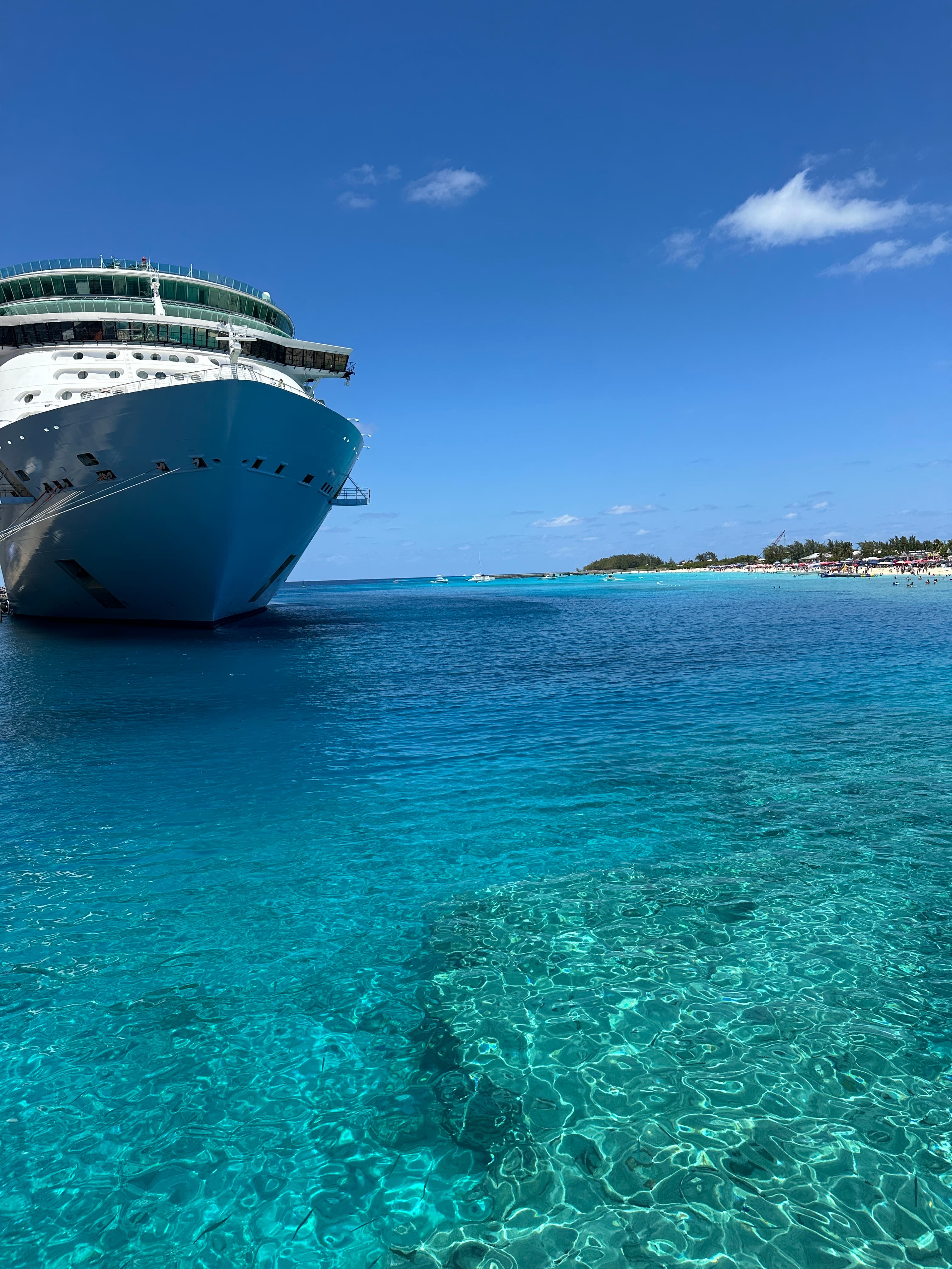 Family Cruise on the Royal Caribbean Freedom of the Seas: 8 Days of Sun and Fun curated by Ashley Whipple