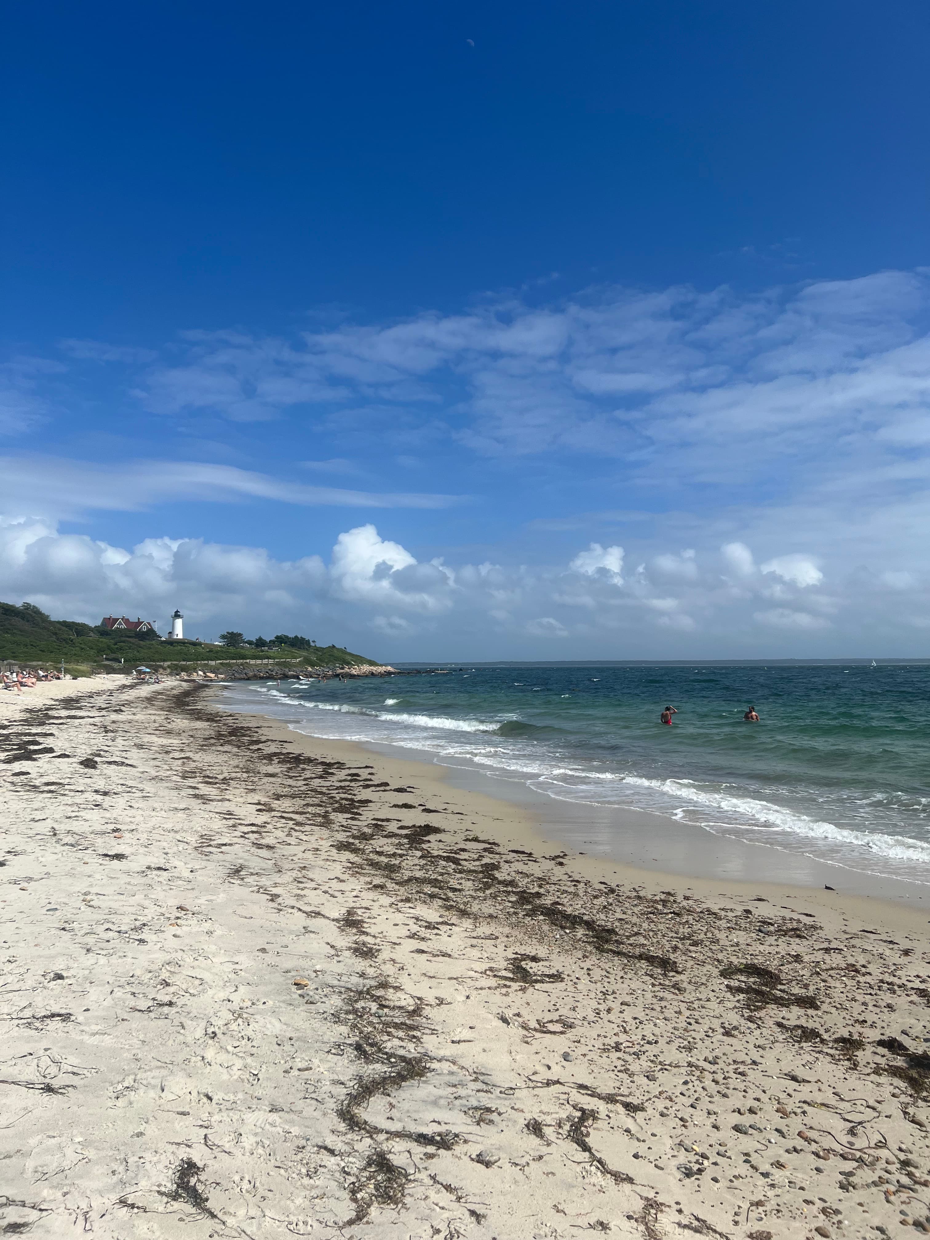Enjoying Cape Cod Without Sand in Your Shoes curated by Joanna Vinick