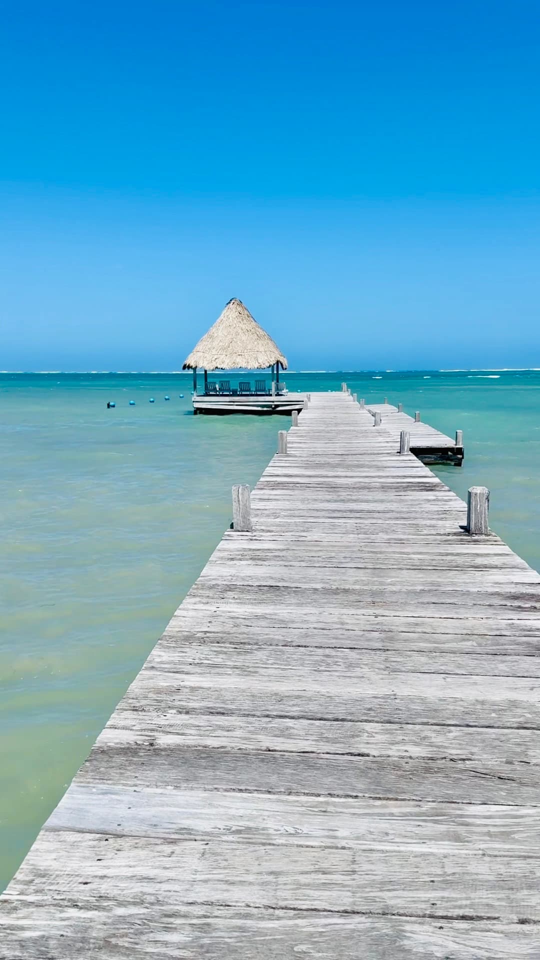 Belize with Kids: A Family-Friendly Escape to Ambergris Caye curated by Alisha Bjorndal