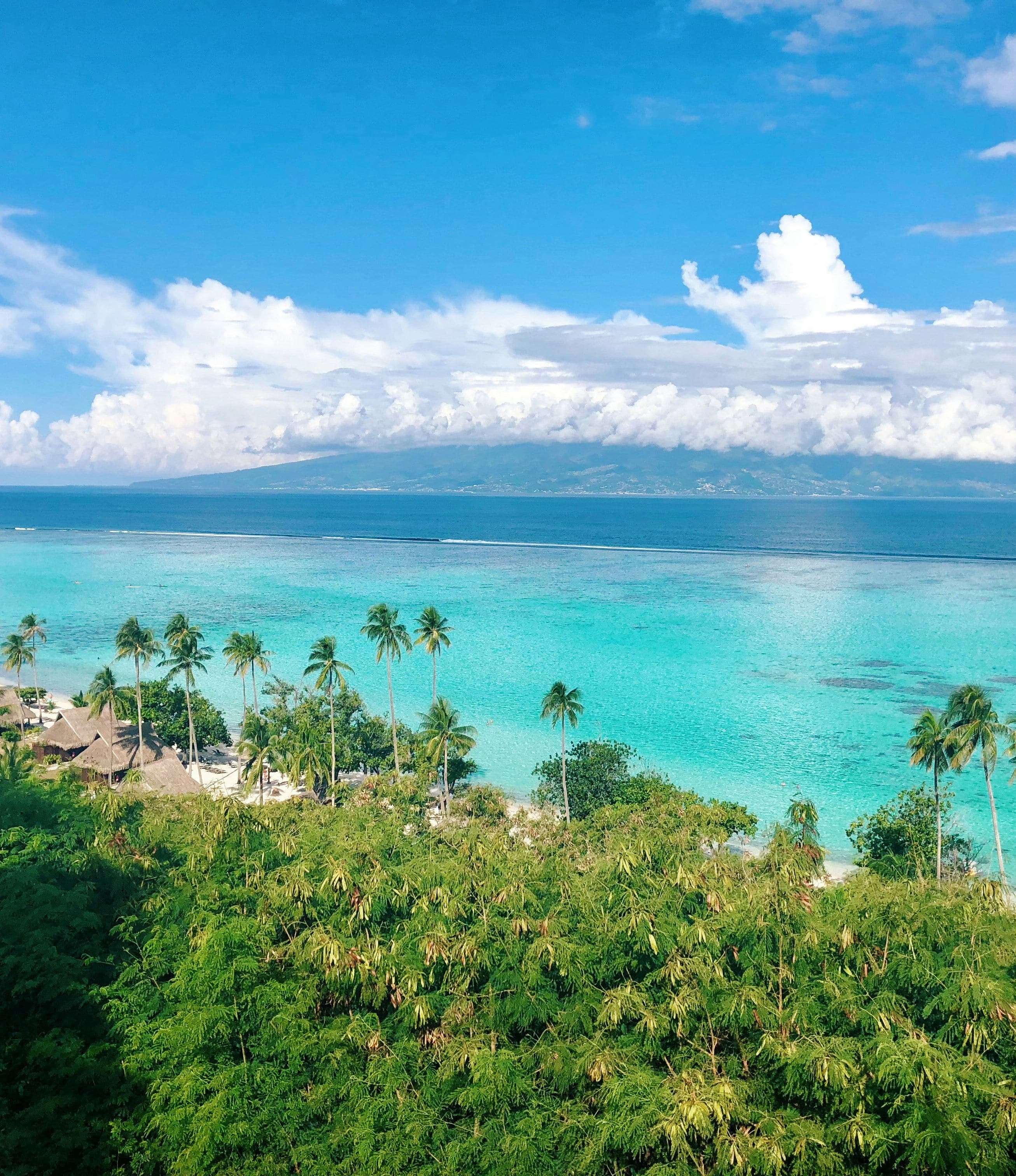 First Timer's Guide to Moorea curated by Alyssa Wolf