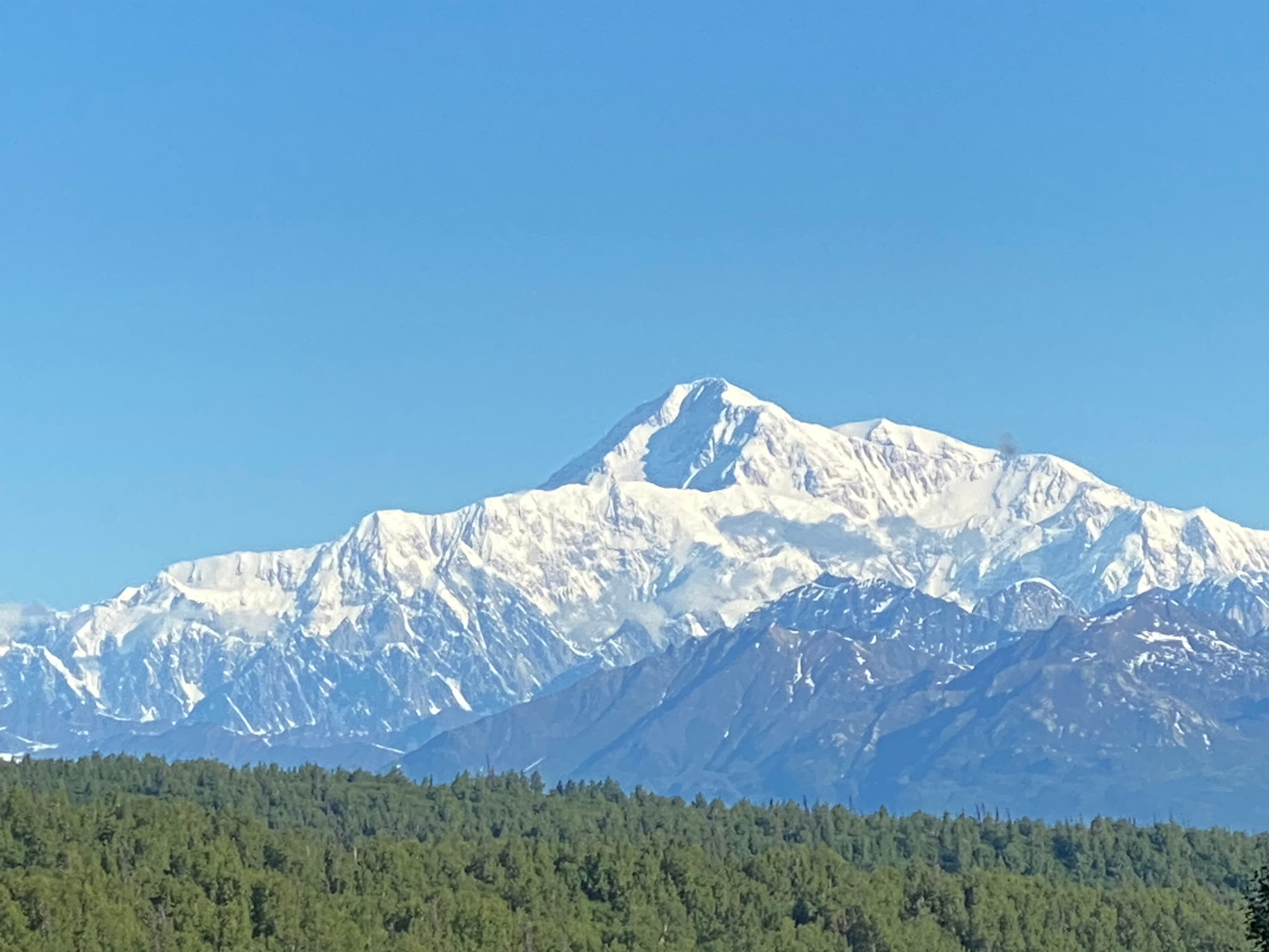 Your Own Alaska Land Excursion curated by Jessica Goodman