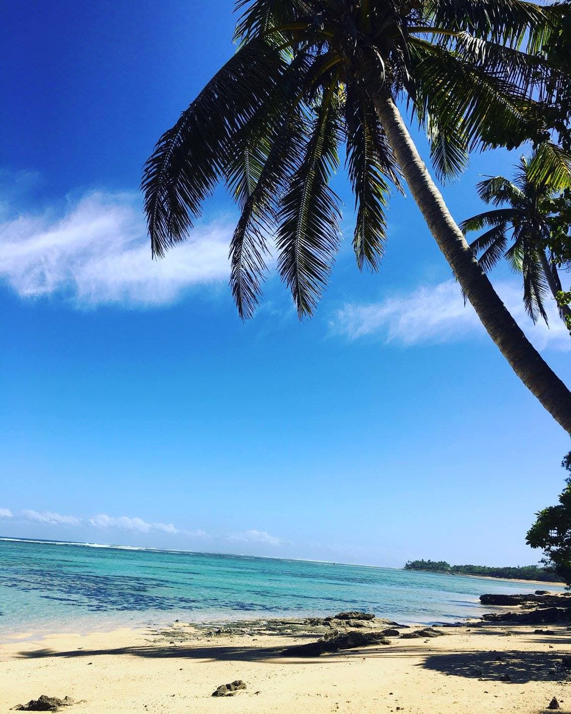 Fiji the Beautiful curated by Hannah Boes