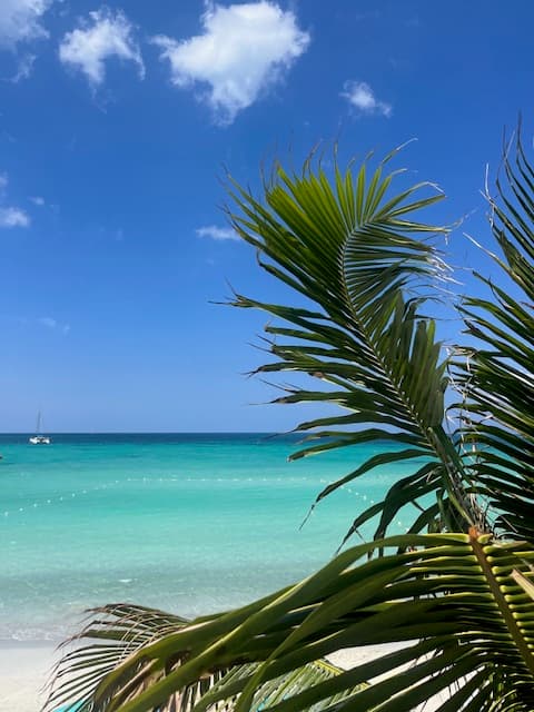 Negril, Jamaica's Seven Mile Beach curated by Ciaran Coen
