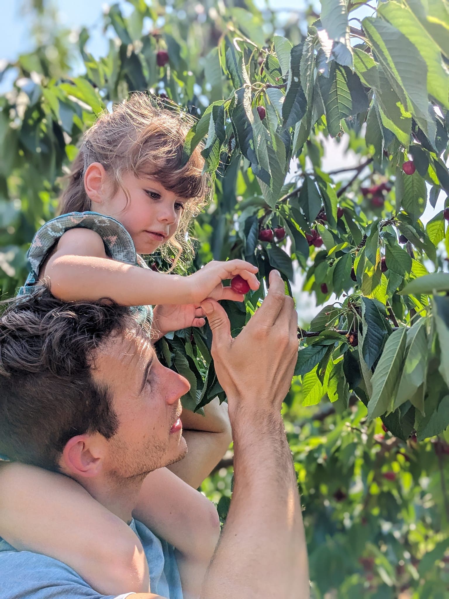 Grand Times in Grand Rapids curated by Mike Mertel