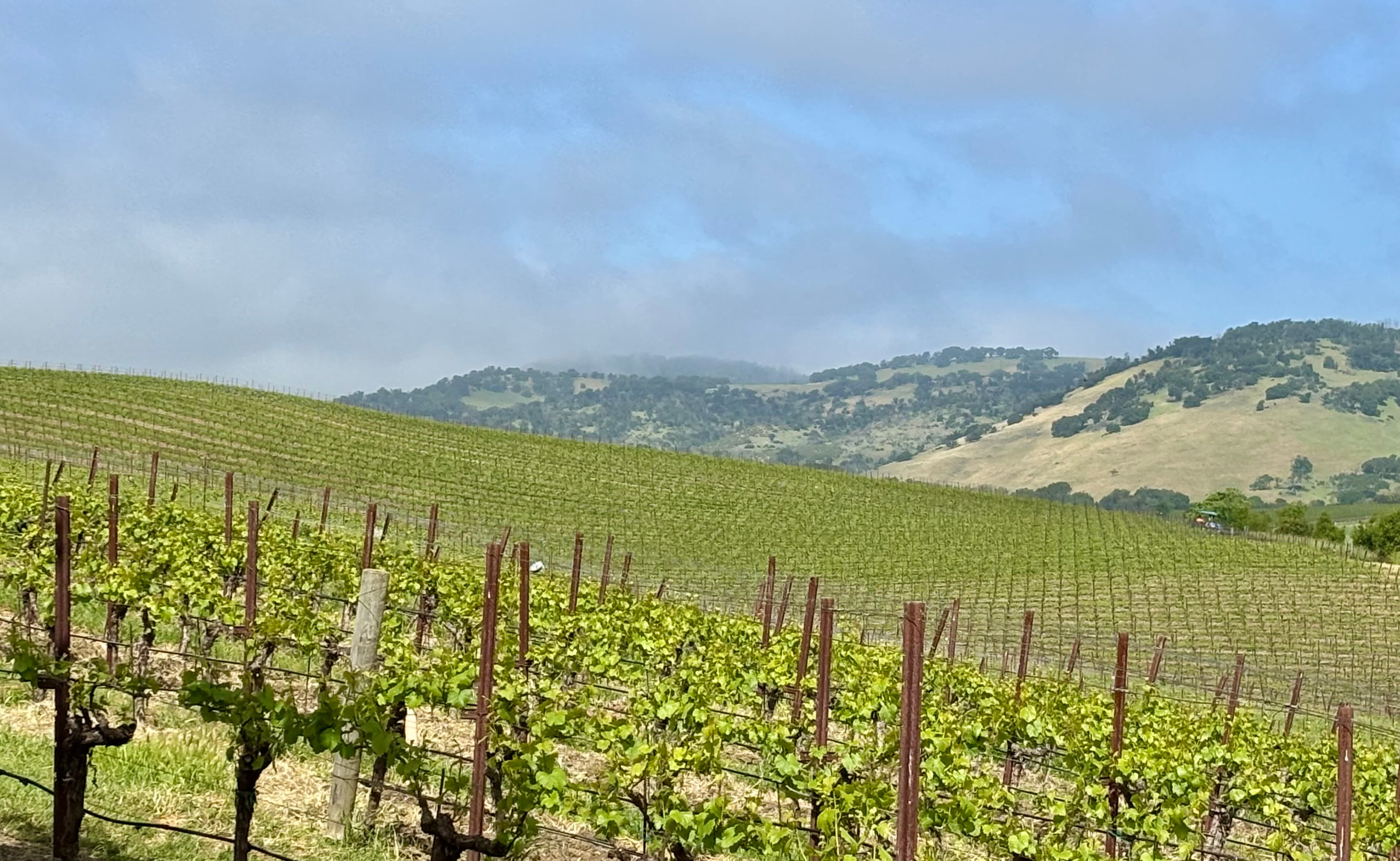 Wine Country Mother/Daughter Trip: A 5-Day Napa Valley Itinerary curated by Dana McGowan