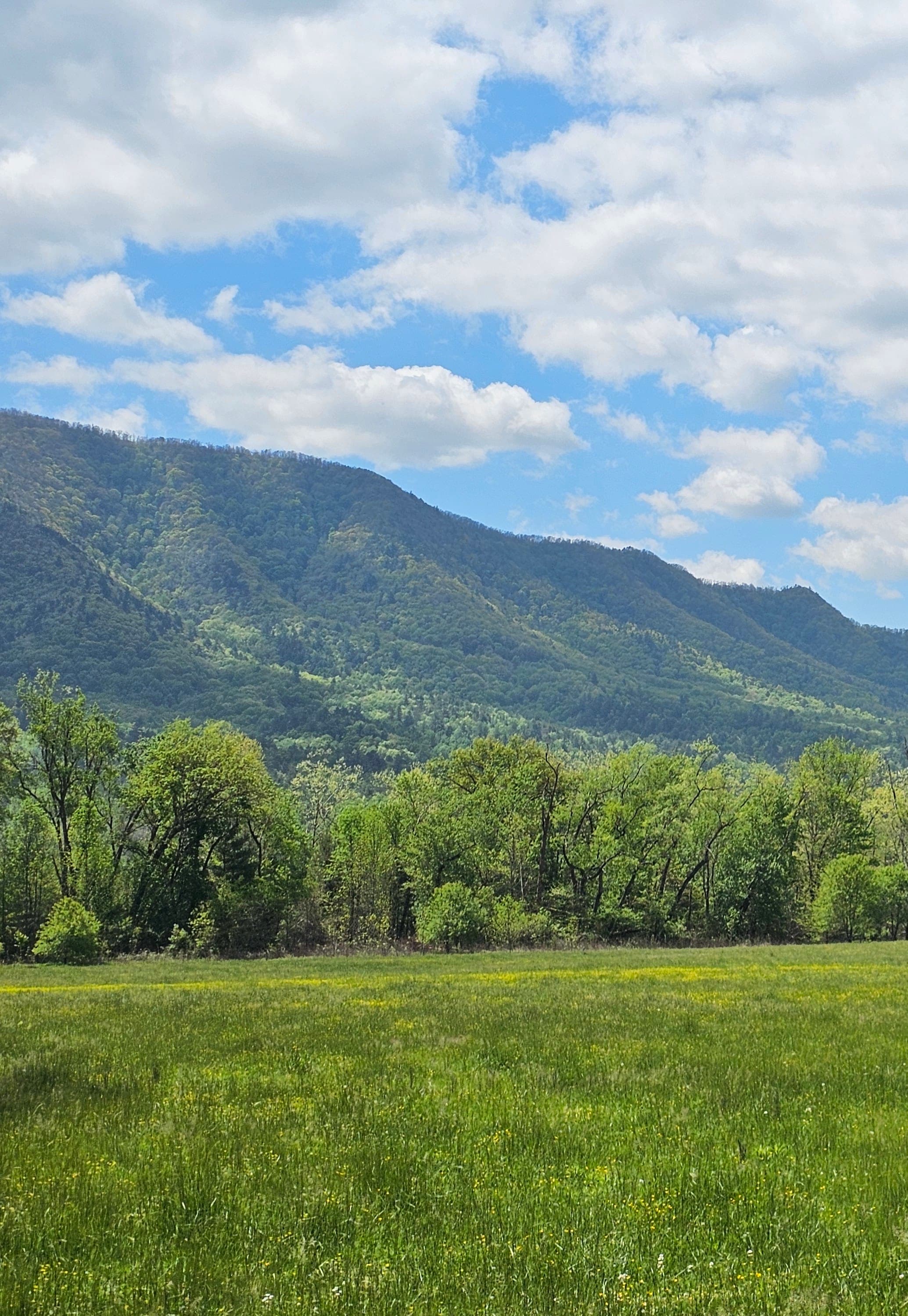 Exploring Pigeon Forge Without Limits: A Mobility-Friendly Travel Report curated by Susan Thompson