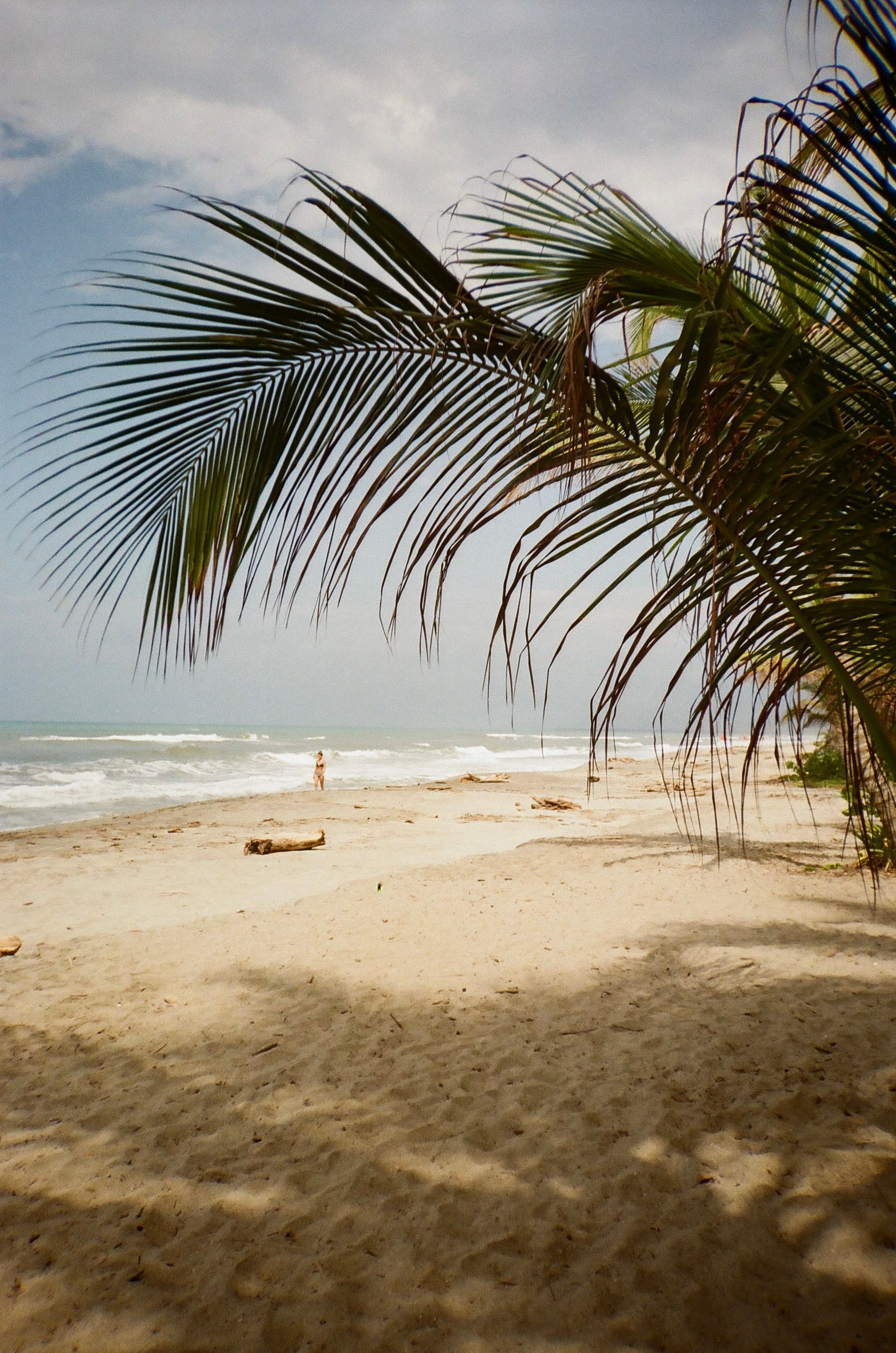 Scuba & Jungle: A Four-Day Eco Adventure in Tayrona, Colombia curated by Manon Ropital