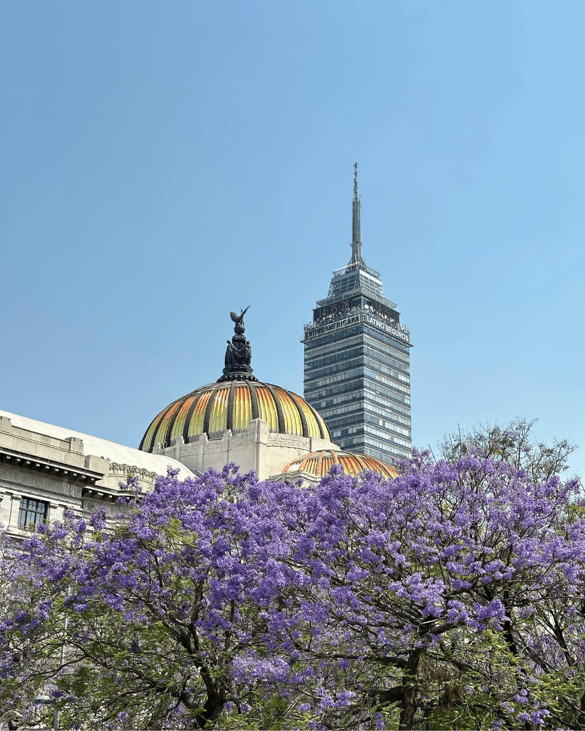 Three Days in Mexico City: The It Girl’s Guide curated by Aneatrice Wornum