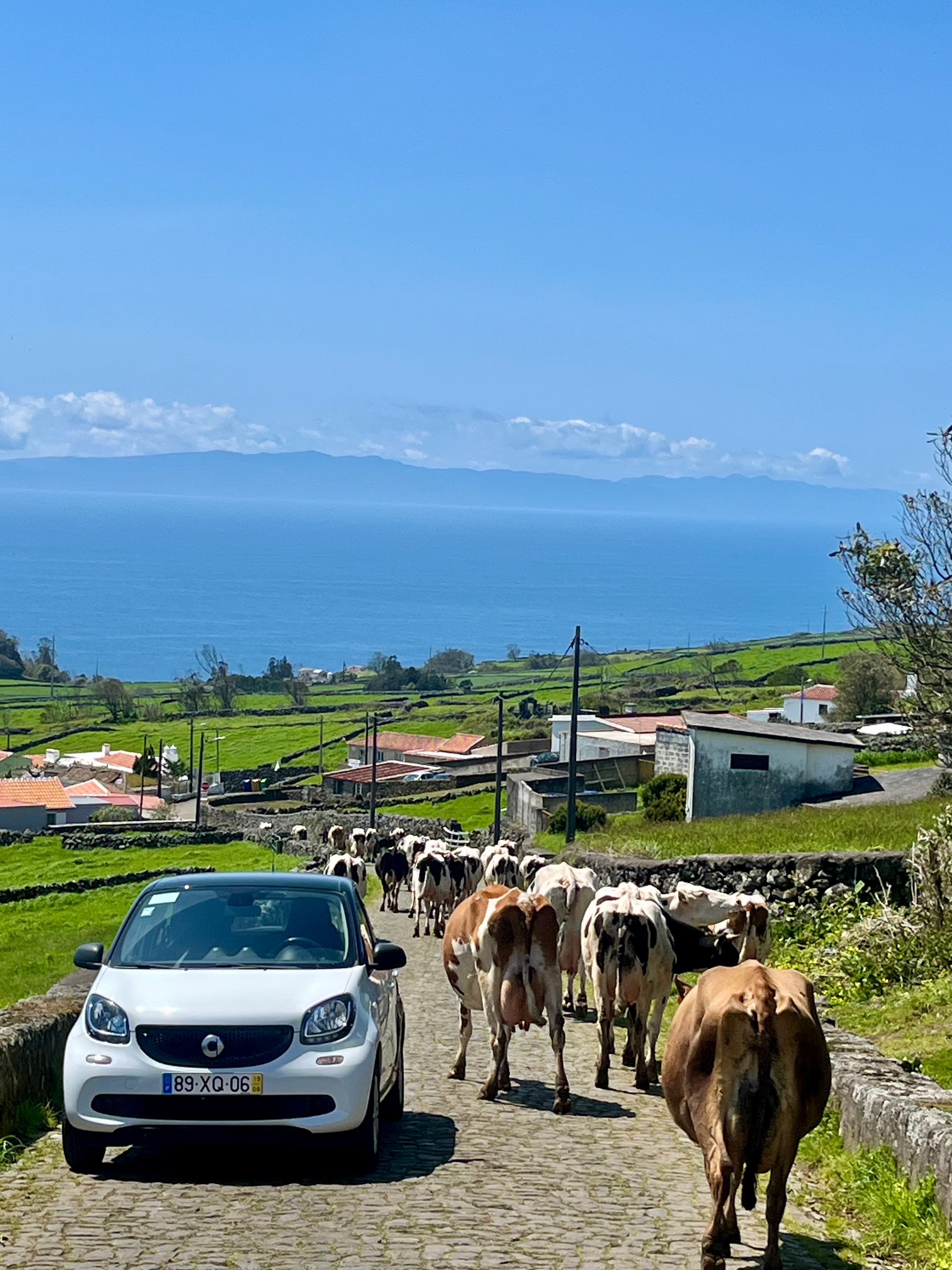 A Girls’ Getaway to Terceira: Wine, Food & Nature in the Azores curated by Courtney Mandruk