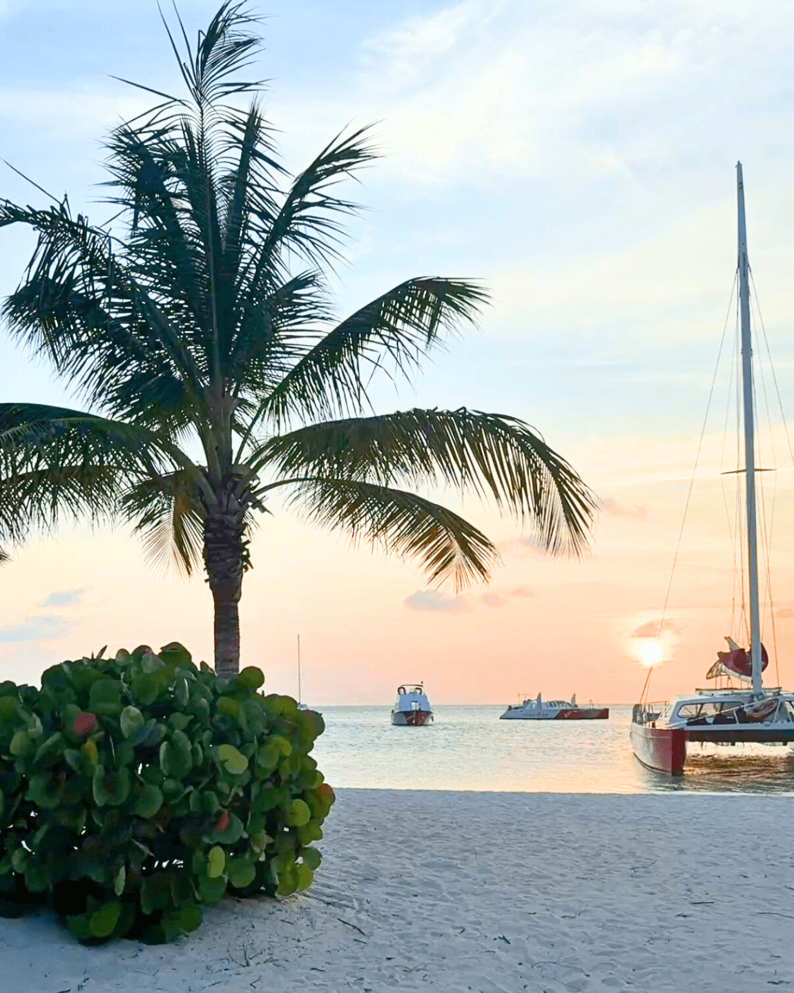 Four-Day Aruba Itinerary: Paradise Perfected curated by Alaina Gallagher