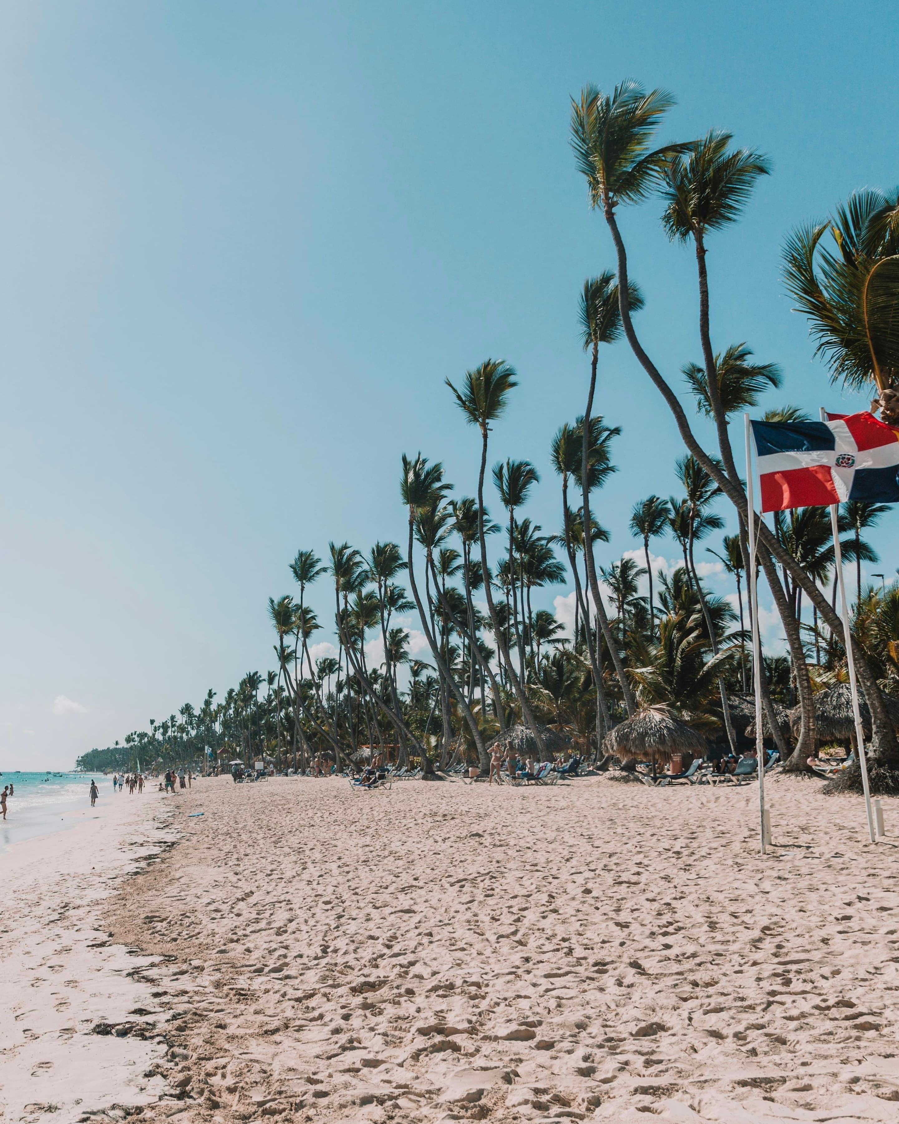 You’re Booked — Now What: Dominican Republic All-Inclusives curated by Nicholas Pepe