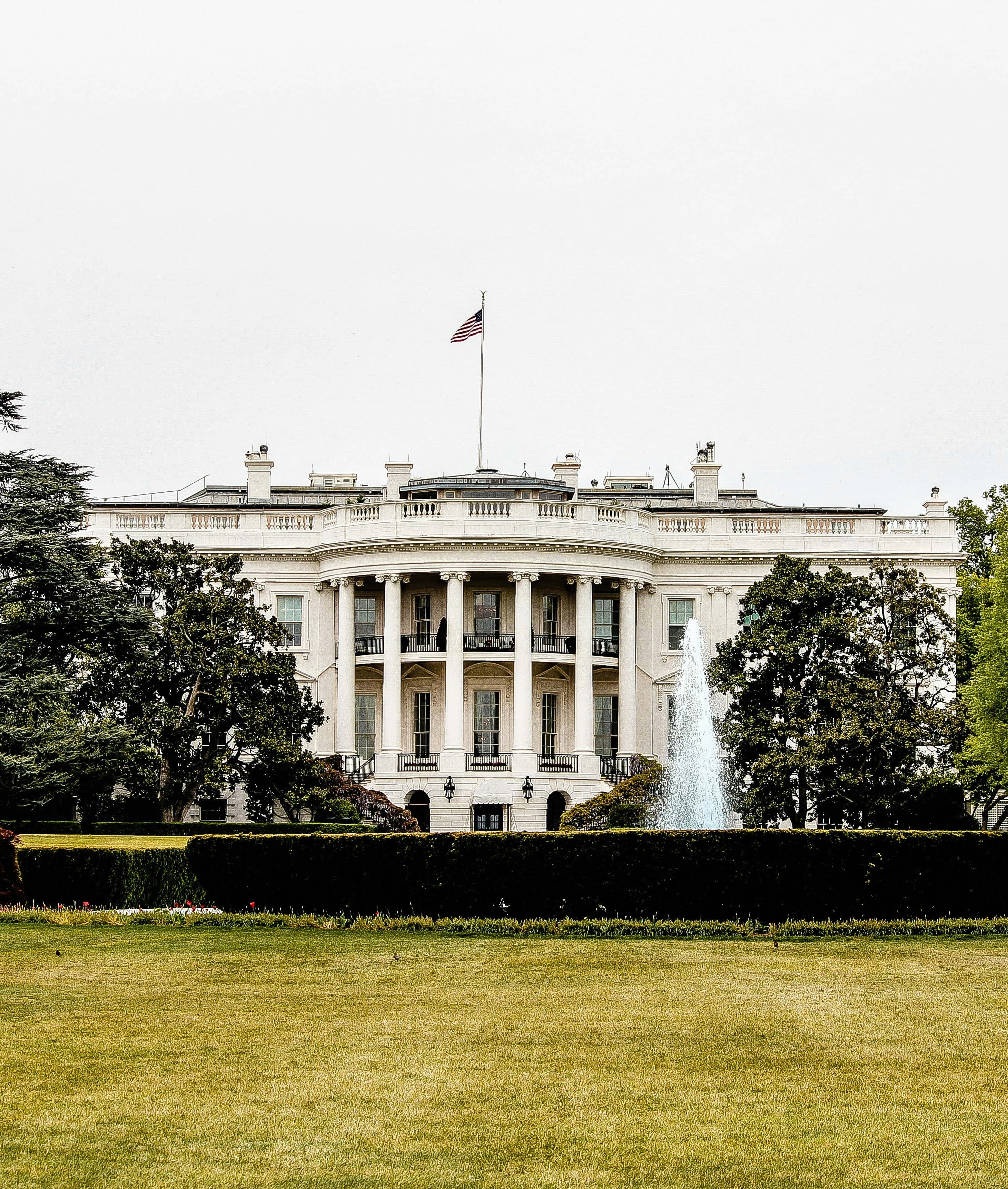 Washington, DC for One curated by Brian Zook