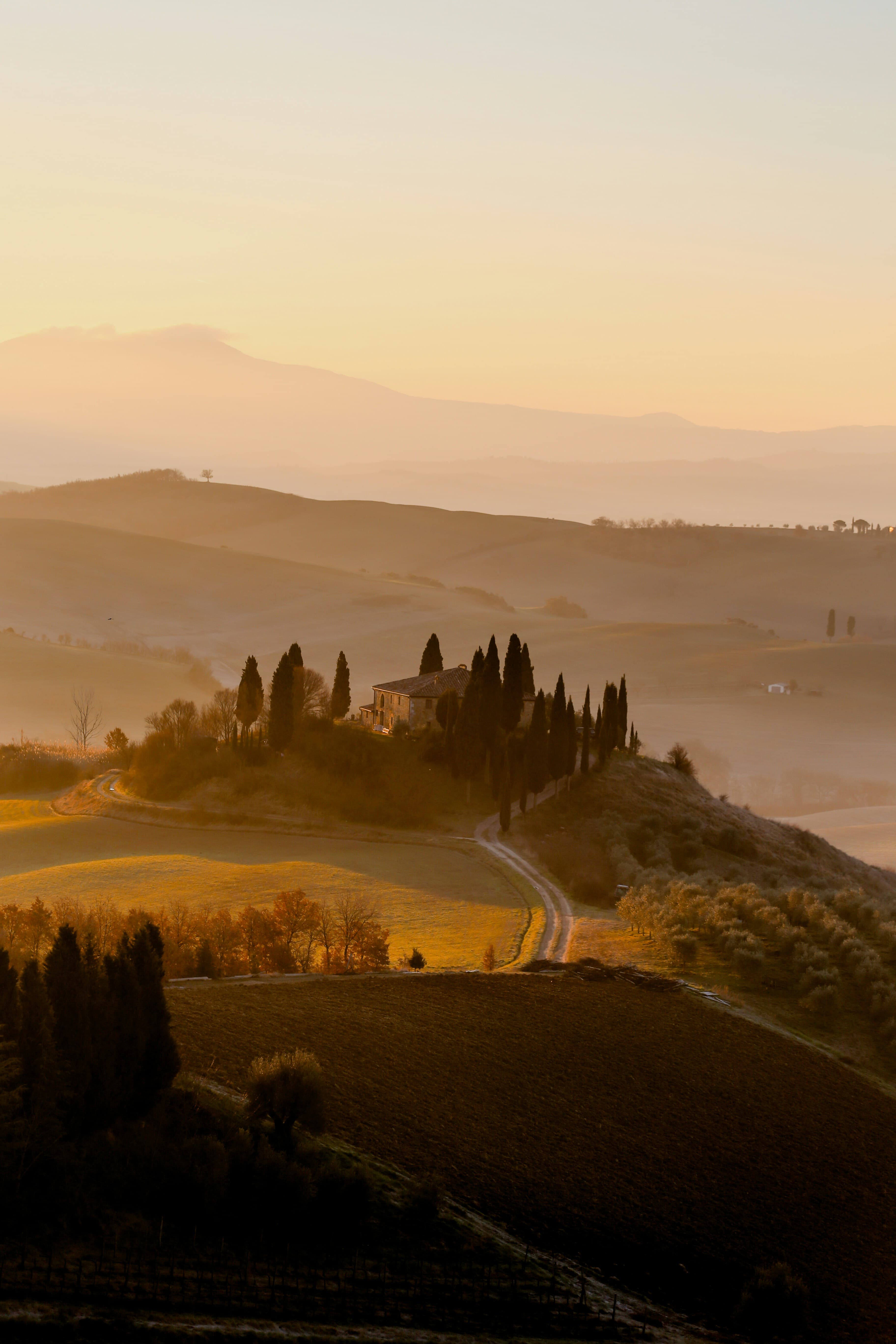 Timeless Tuscany: A Curated Travel Guide curated by Angela Hope