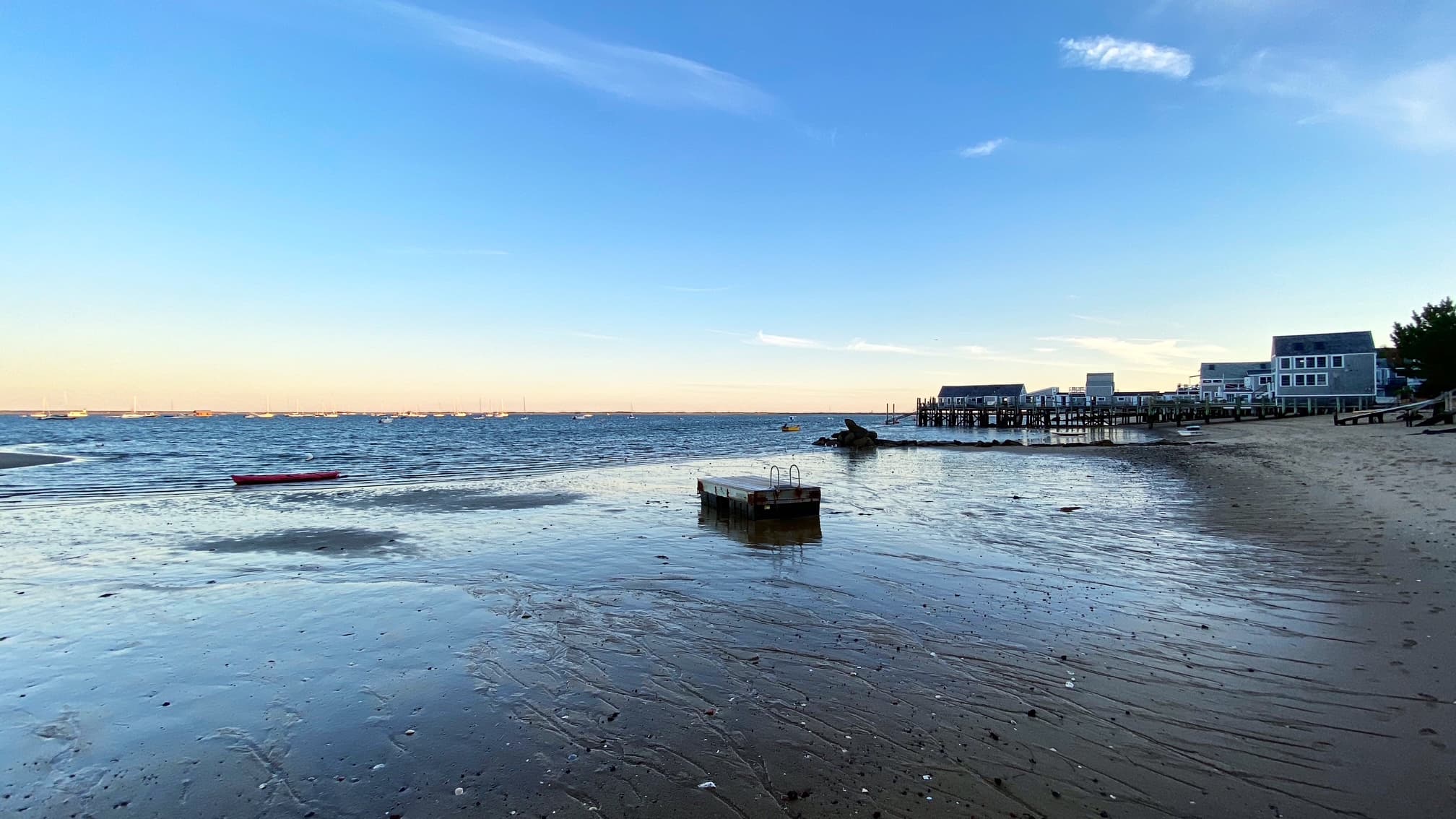 Out and About in Provincetown curated by Barrett Lane