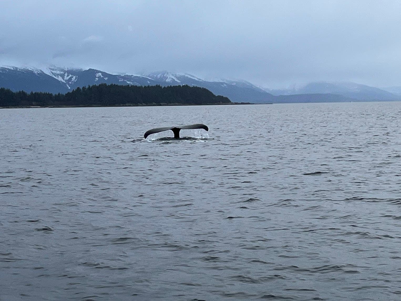 Alaska by Sea: A Solo Voyage on Norwegian Encore curated by Jonna Robertson