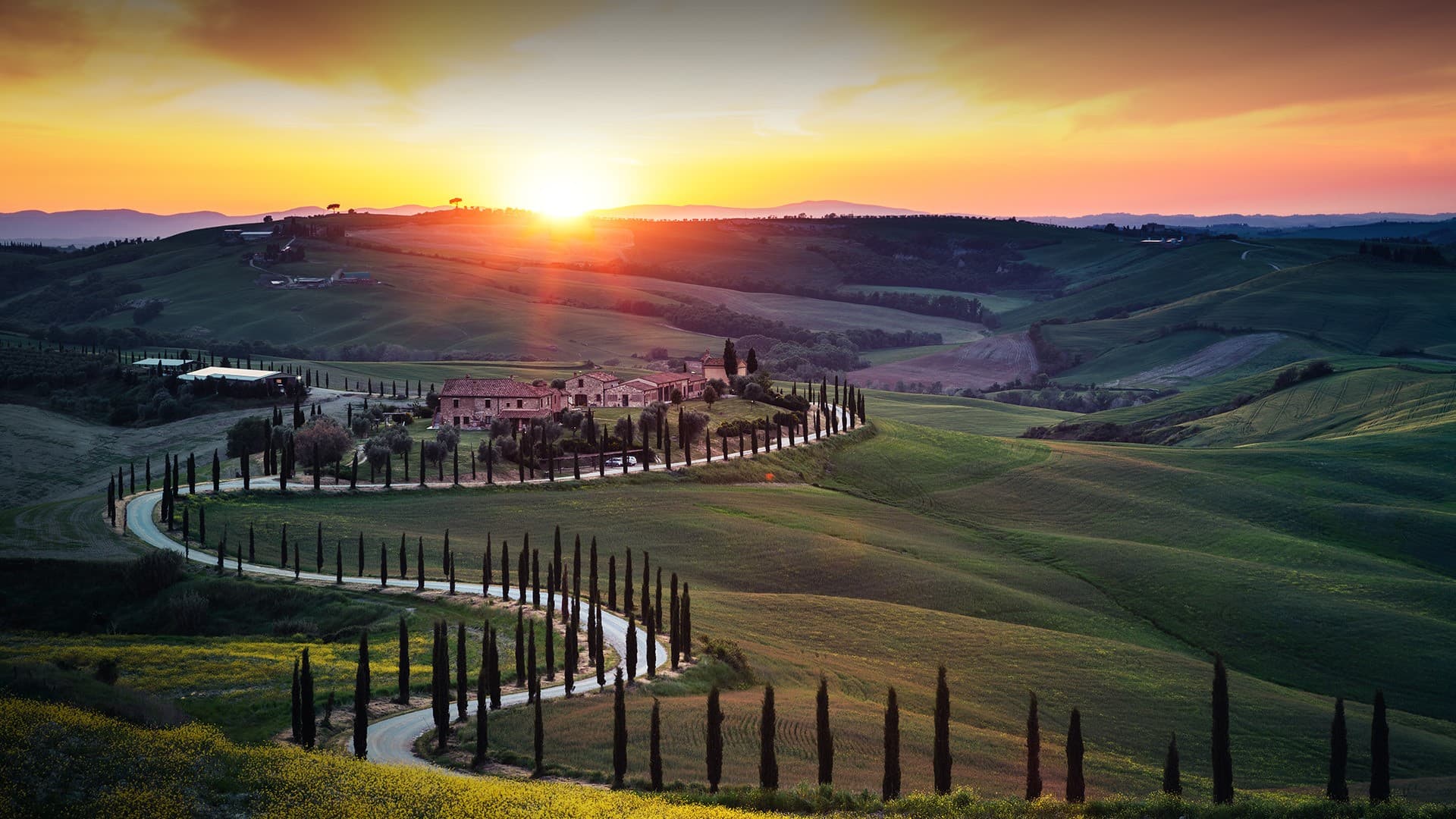 Tuscany in Terracotta & Time: A 9-Day Journey Through Wine Roads, Hilltowns & Golden Light curated by Cheryl Jane