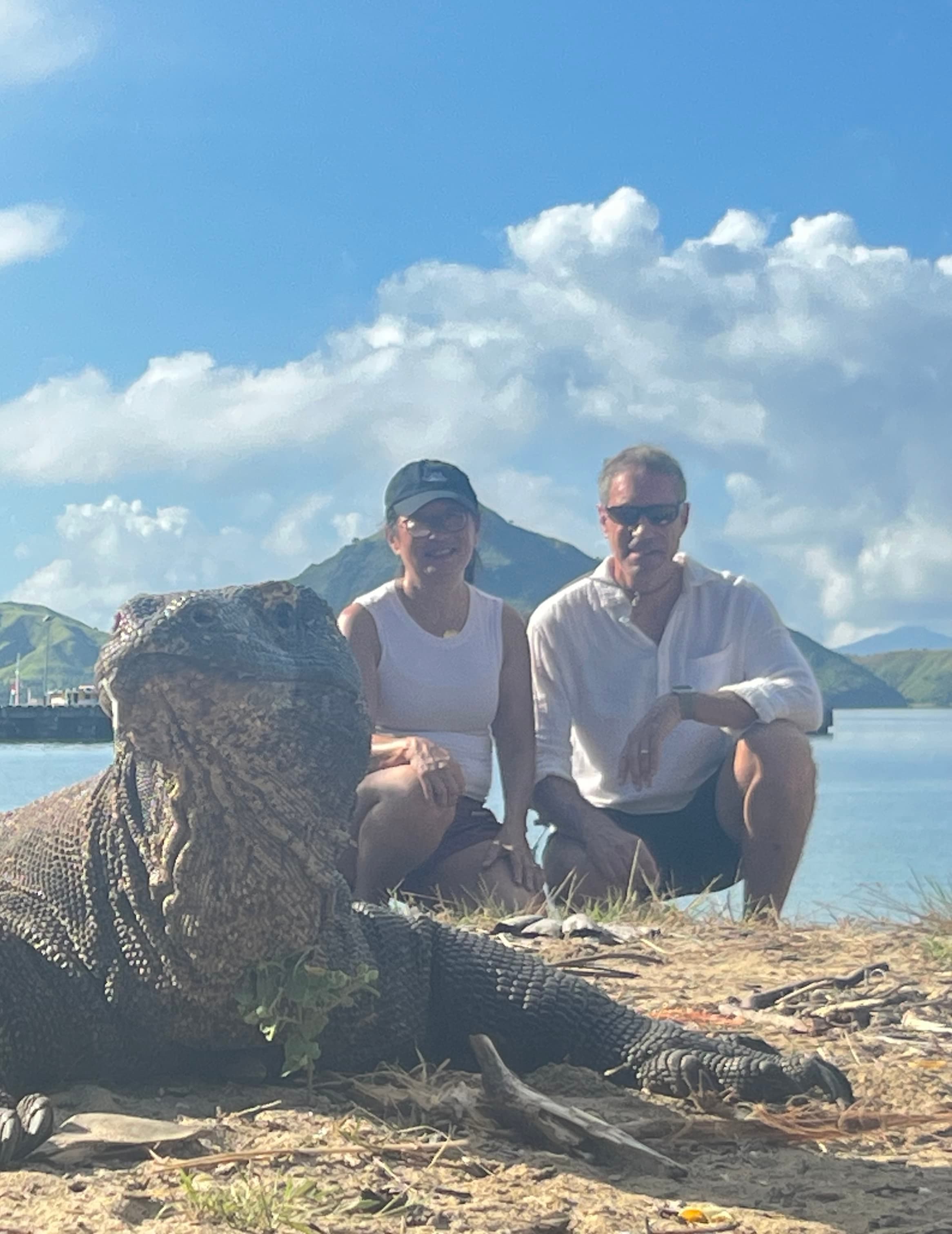 Three Weeks Exploring Indonesia: Lombok, Gili Islands, Komodo Islands, Flores, & Bali curated by Nancy Pappas