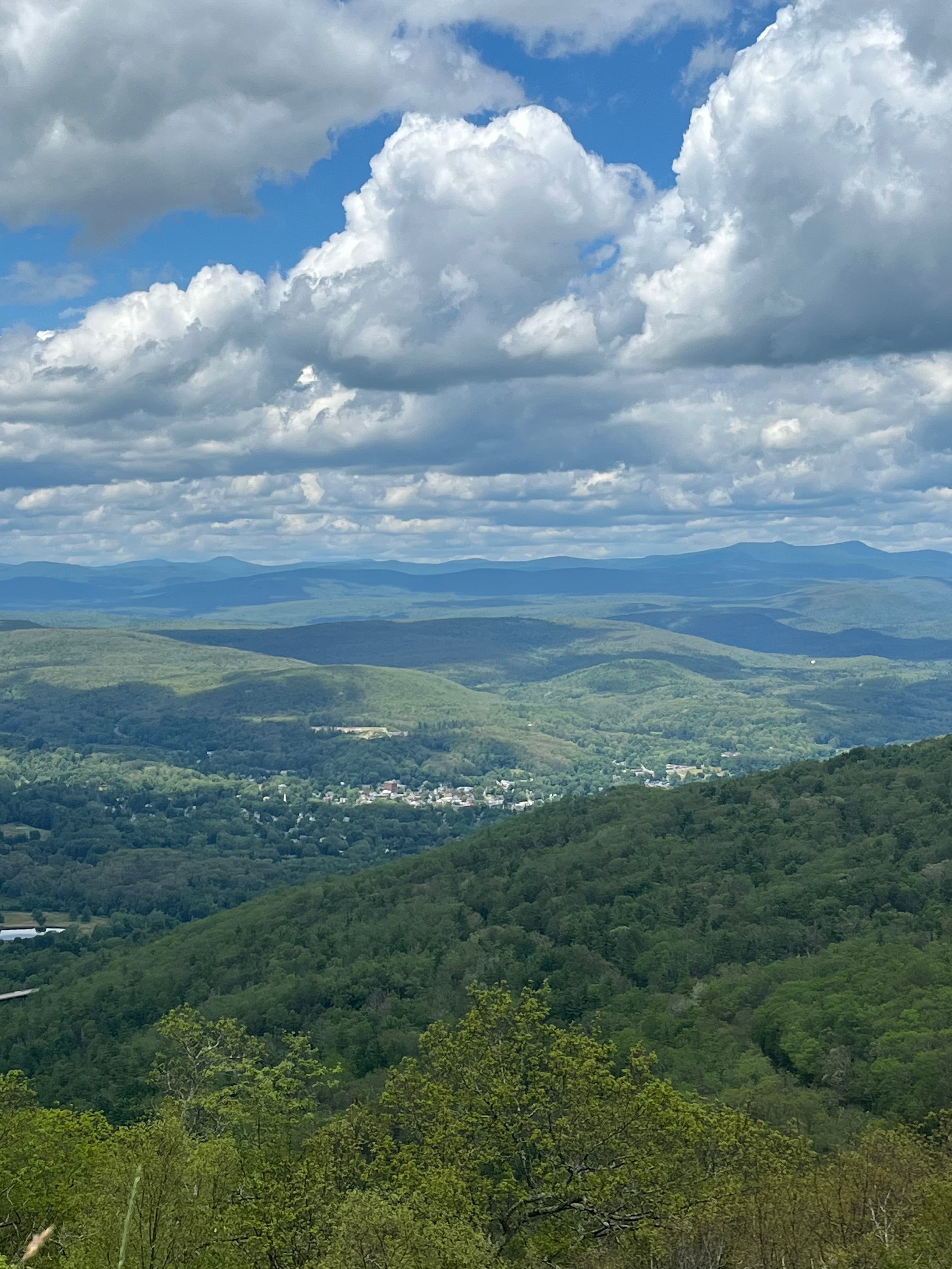 The Best Restaurants in the Southern Catskills for Vegetarians to Take Their Meat-Loving Friends curated by Debra Botta