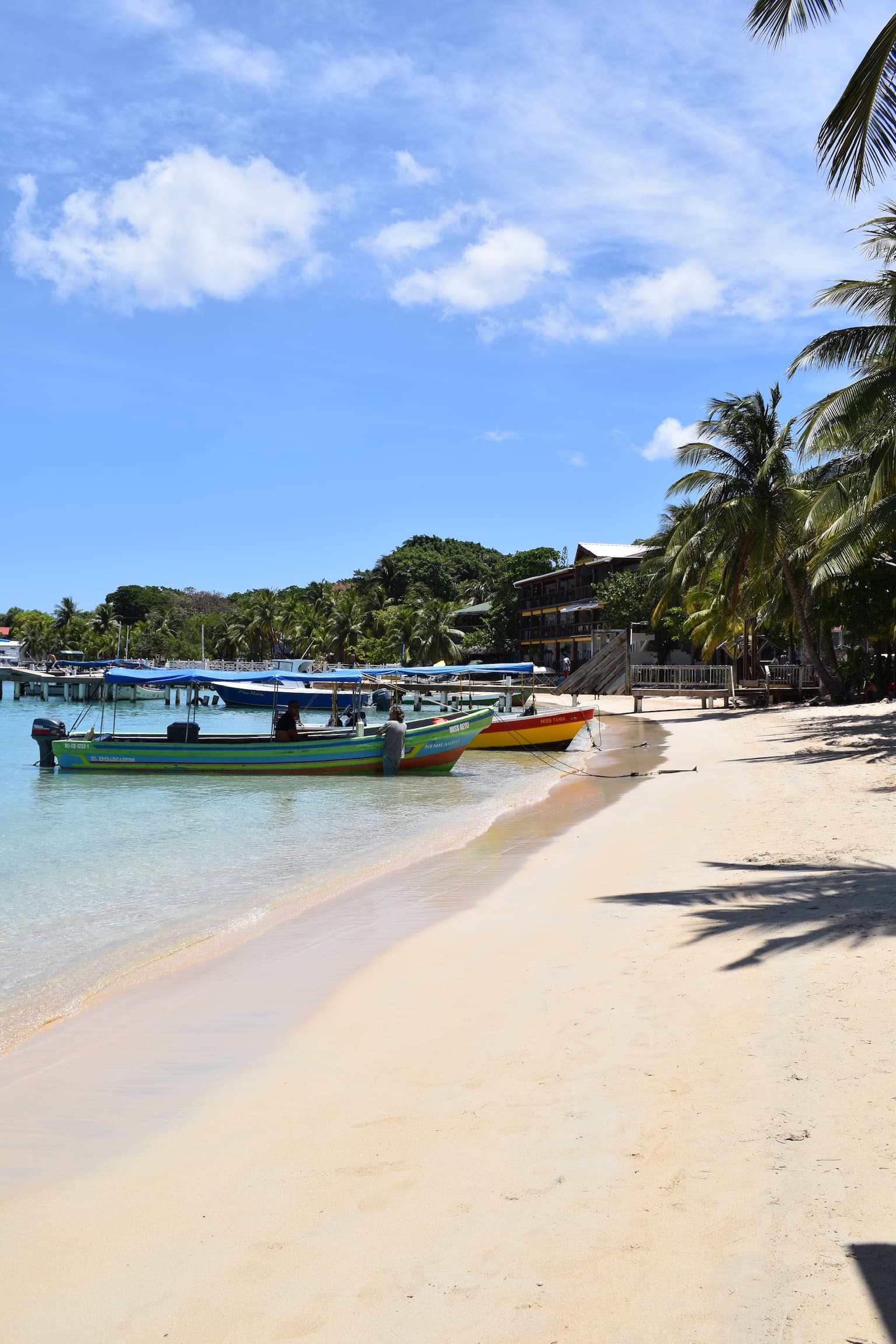 Hidden Gems of Central America: Belize & Honduras Edition curated by Julia Brzezinska