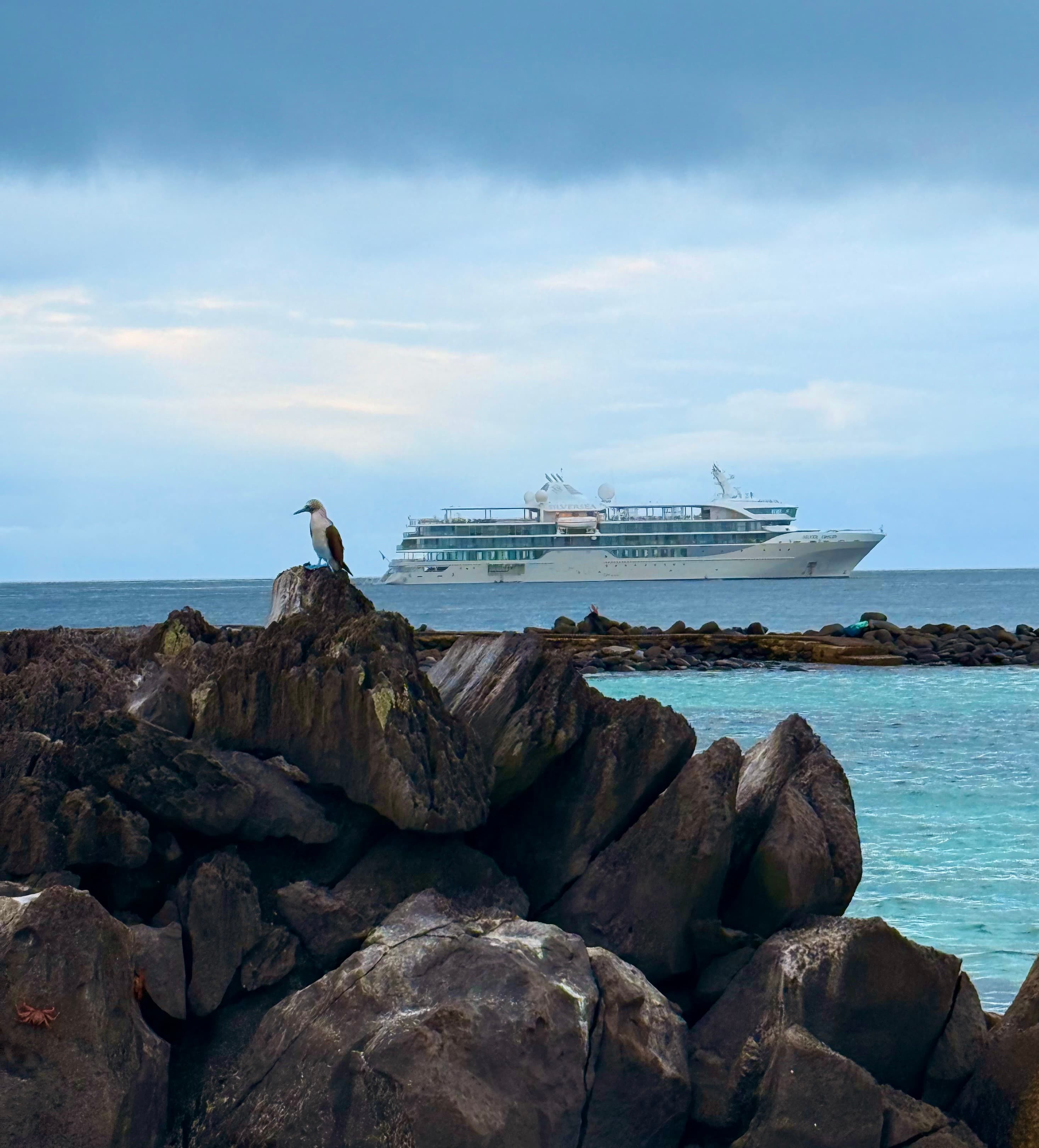Luxury Expedition Sailing in the Galápagos Islands curated by Catherine Thomason