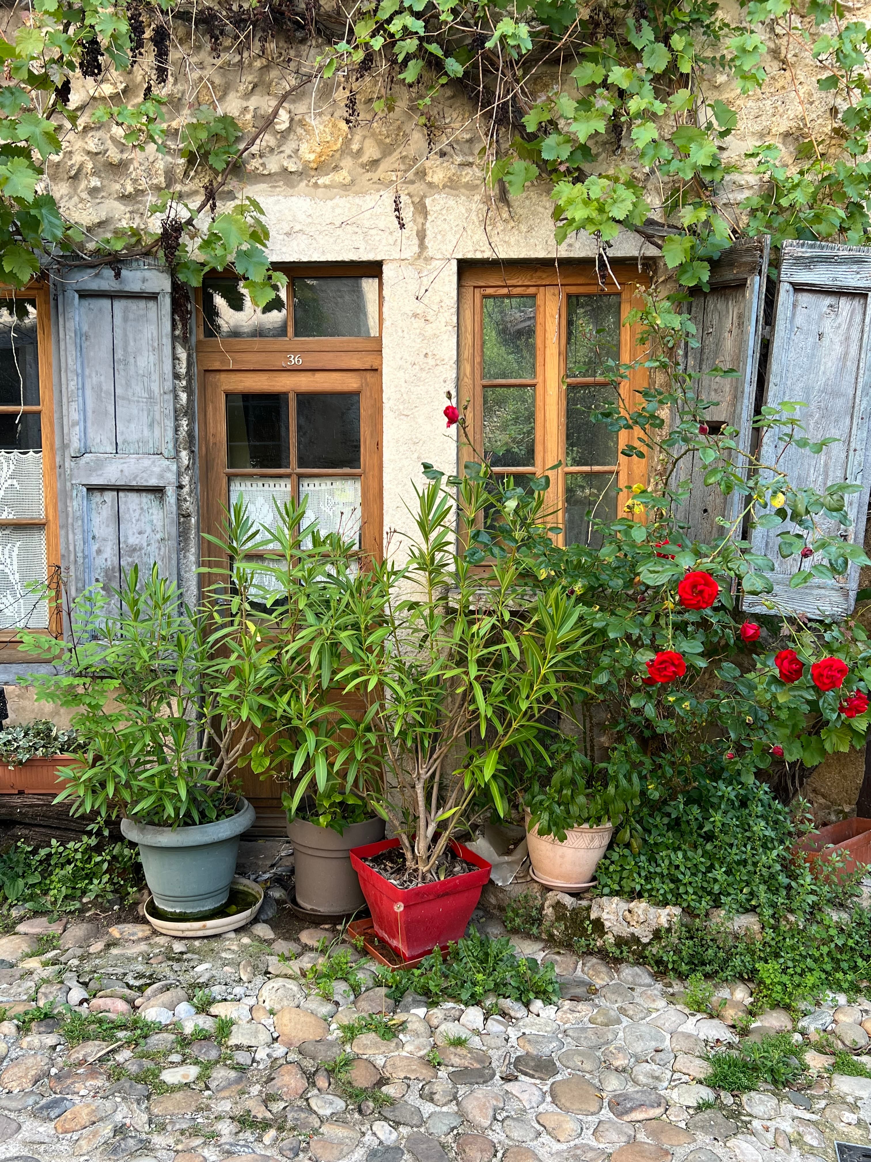 Rhône River Cruise: History, Food, and Wine curated by Joe Fehrenbach