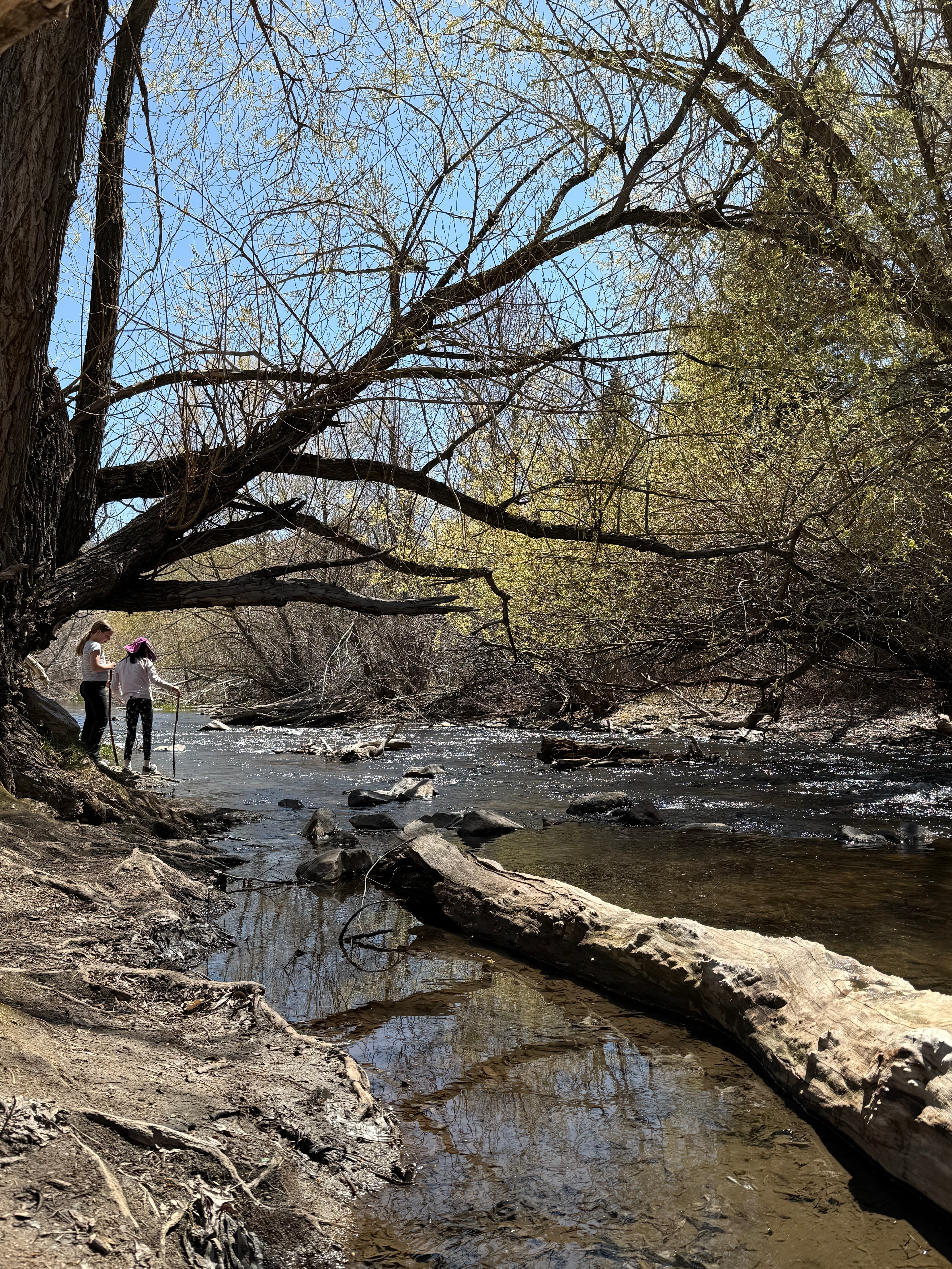 Denver: Where Summer Outdoor Adventure Meets Culinary Culture curated by Joycelyn May