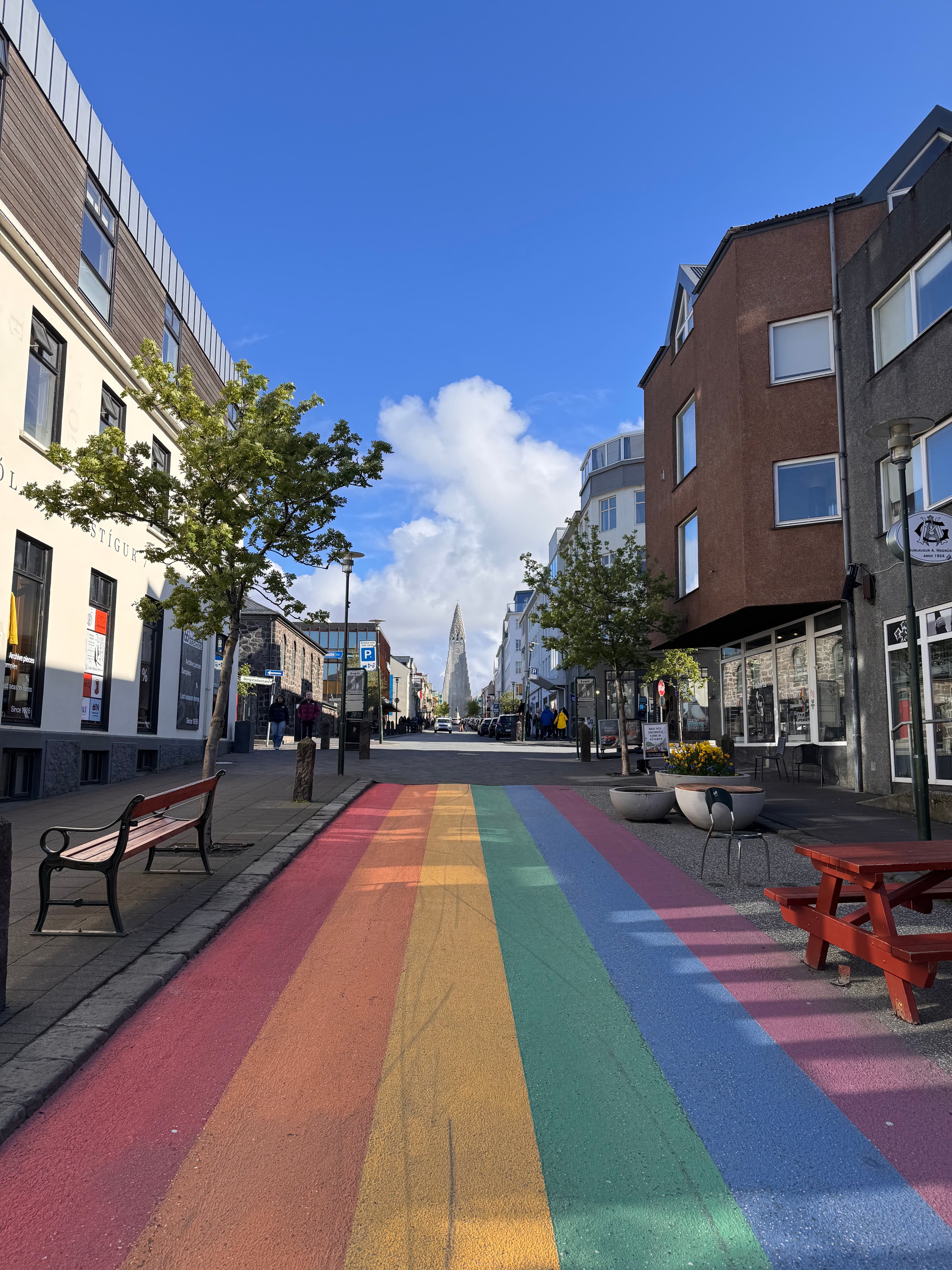 More Than Just Ice: Reykjavik, Iceland curated by Sam Acevedo