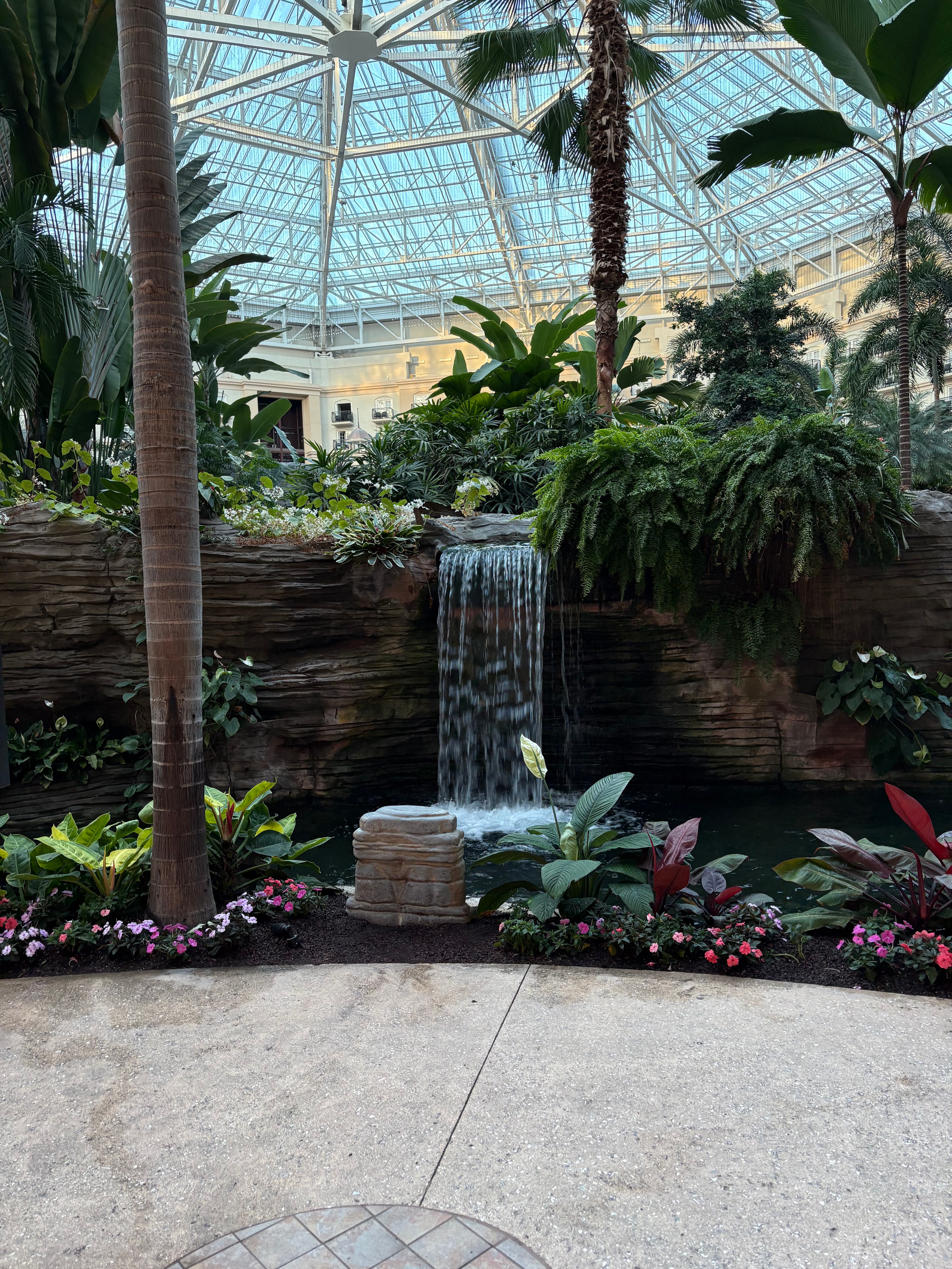 Gaylord Palms: Your Orlando Oasis Awaits curated by Matthew Alexander