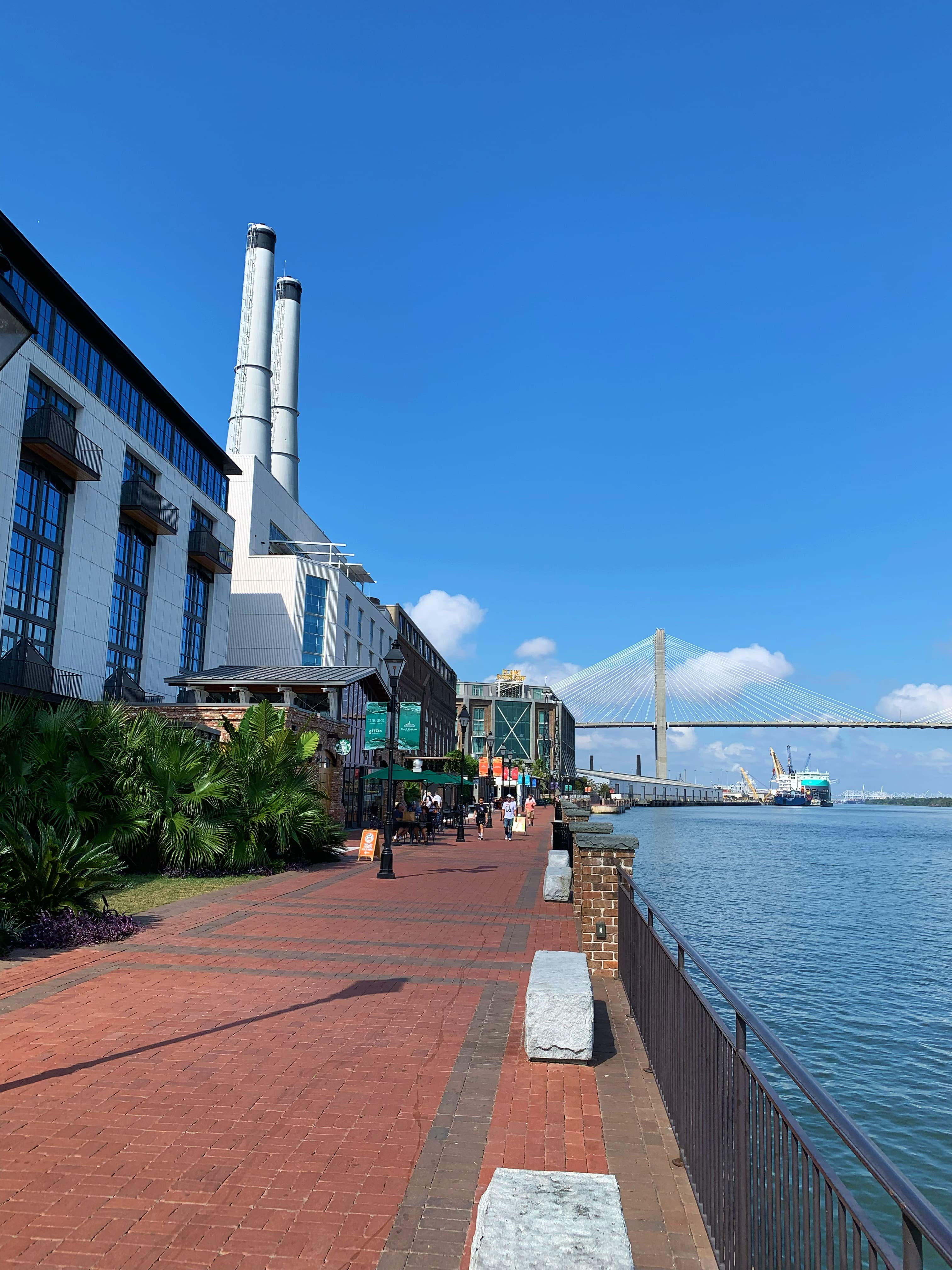 Savannah: Local Vibes From a Returning Local curated by Stephanie Theobald