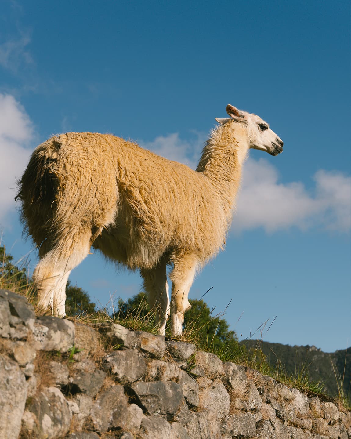 A Journey Through Peru’s Cultural Heartlands & Wild Frontiers curated by Thomas Stadler