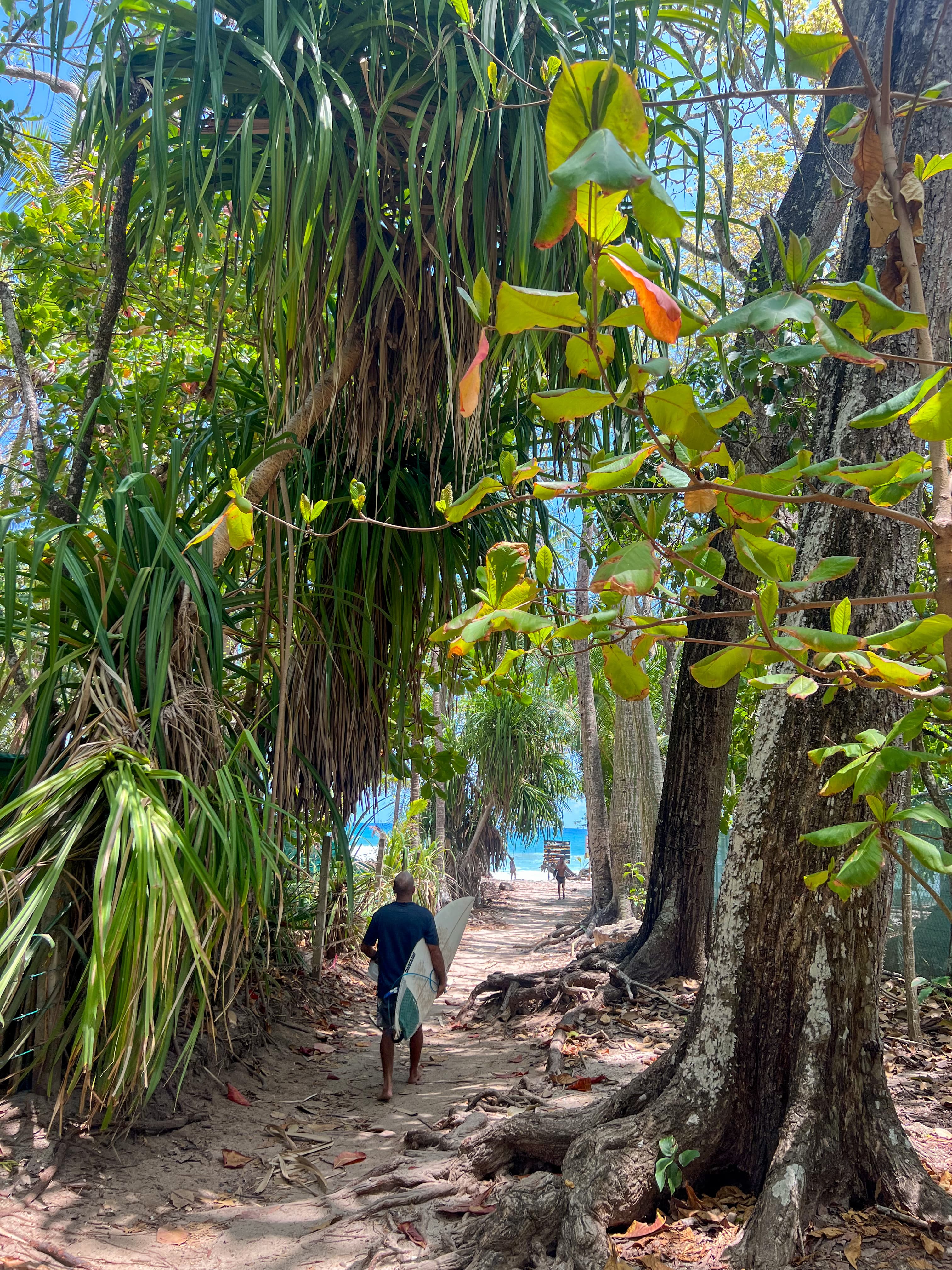 Discover Santa Teresa: From Jungle to Sea curated by Mariana Steiner