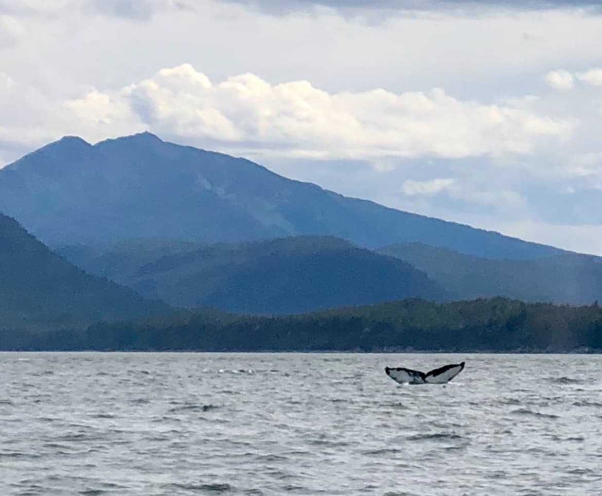 Cruise Port Essentials: Exploring Juneau curated by Debbie Whelchel