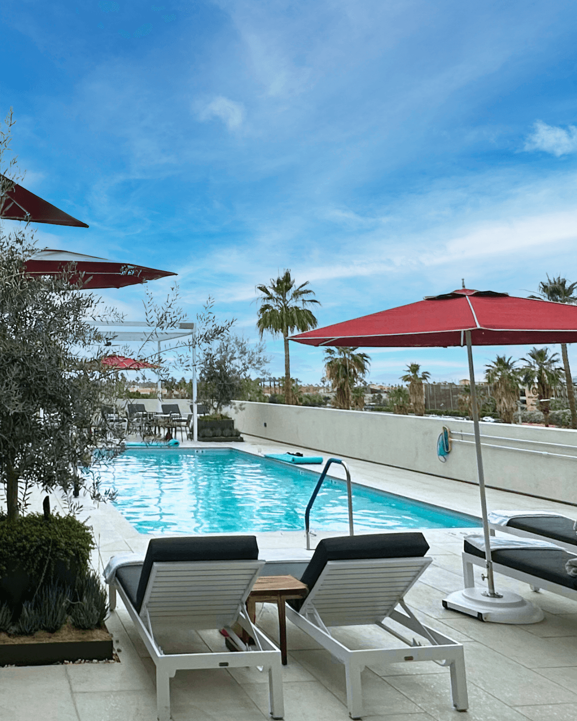 Stillness in the Sun: Escaping to the Adults-Only Pool at Thompson Palm Springs, by Hyatt curated by Kelly Bumford