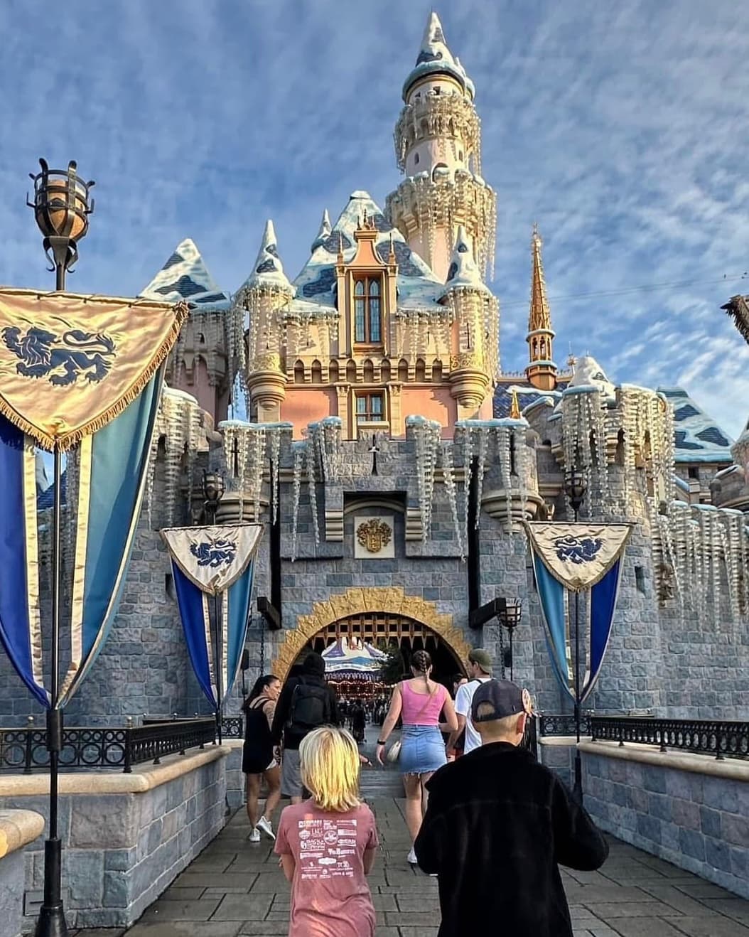 A First-Timer’s (Not-So-Overwhelmed) Guide to Disneyland curated by Lilly S.