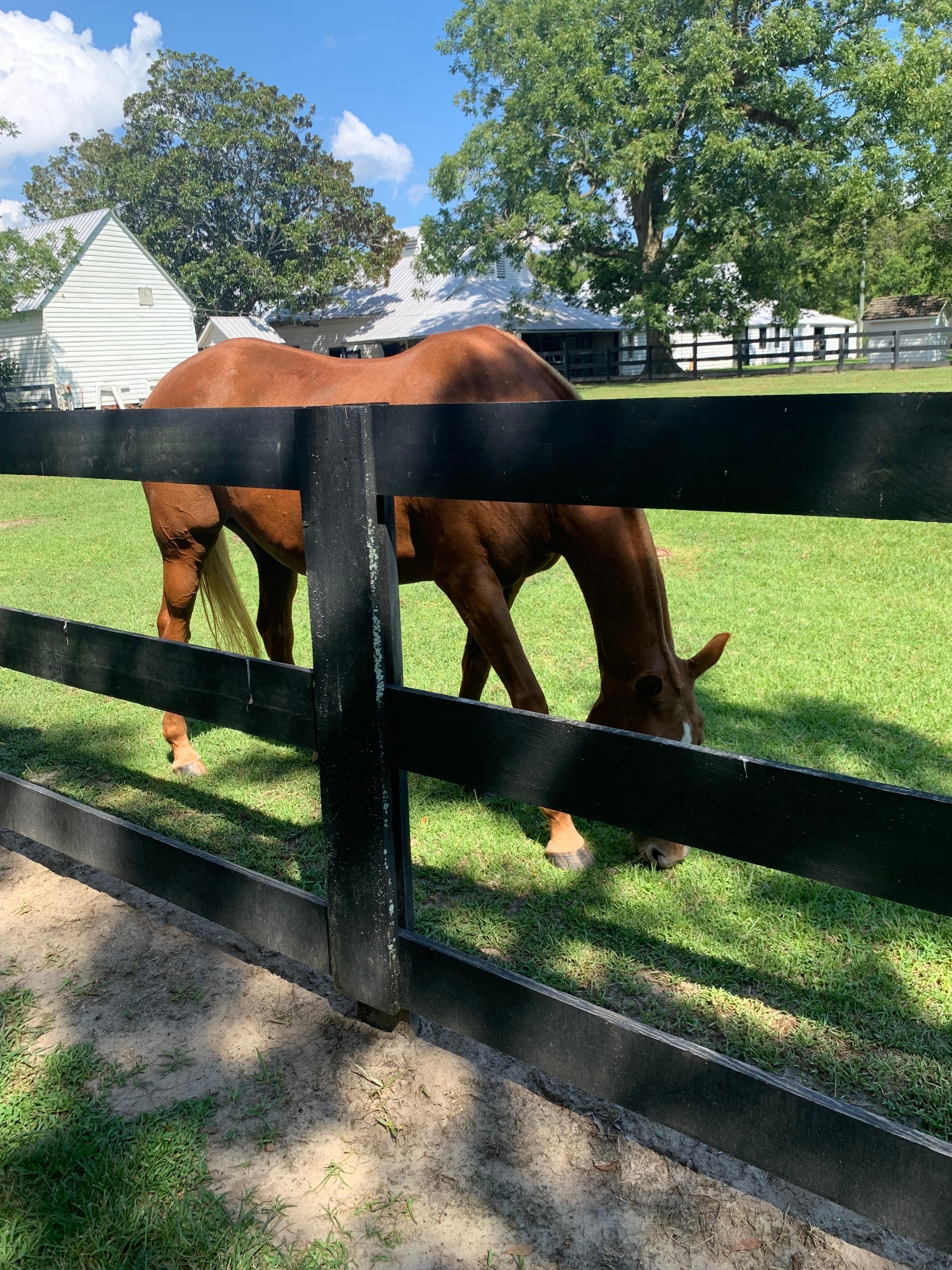 Charleston's Deep Roots: A Three-Day Journey Through Black History & Southern Elegance curated by Latonya Hines