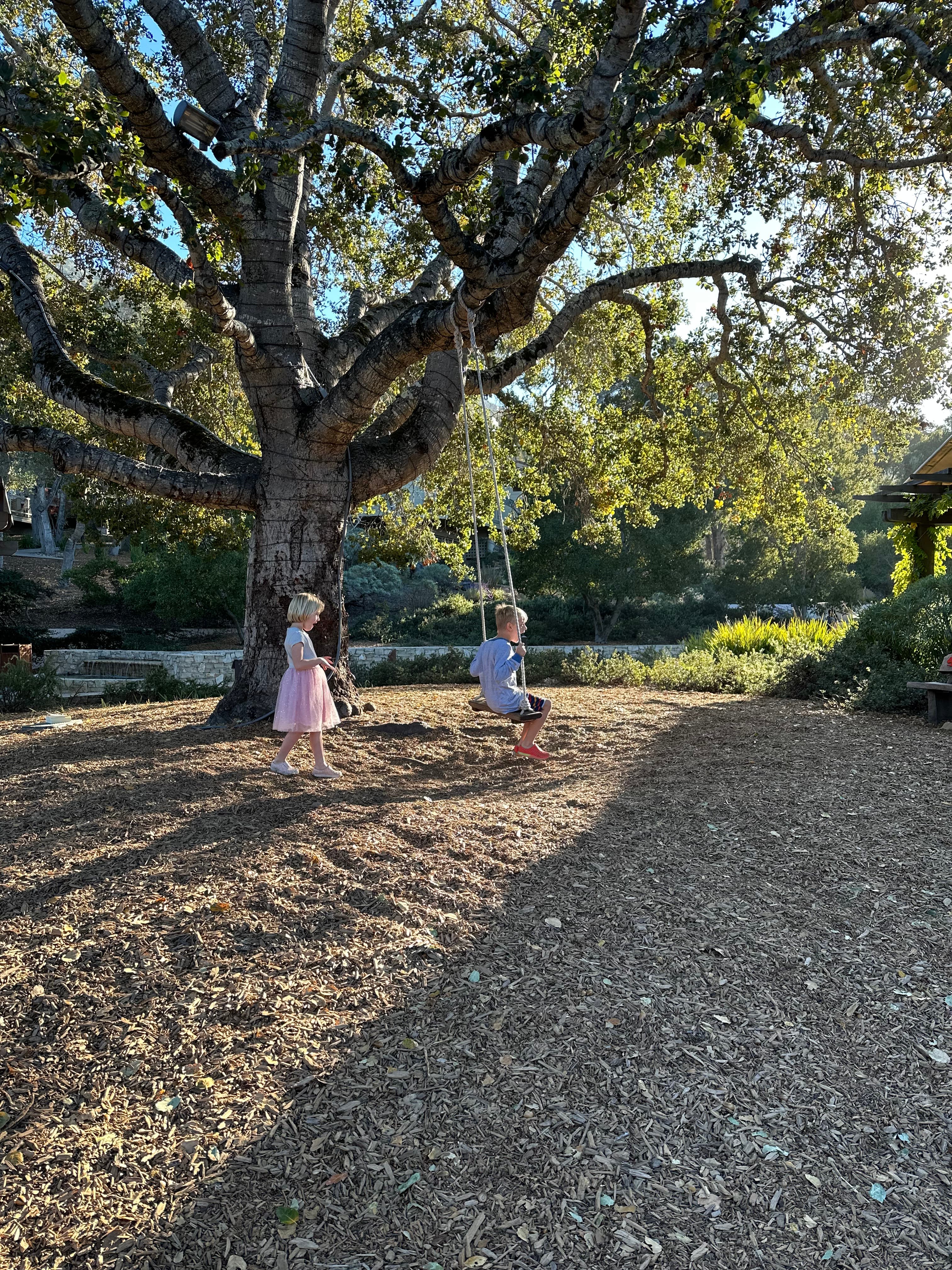 Carmel Valley Ranch: Rustic Luxury & Family Magic in the California Hills curated by Lilly S.