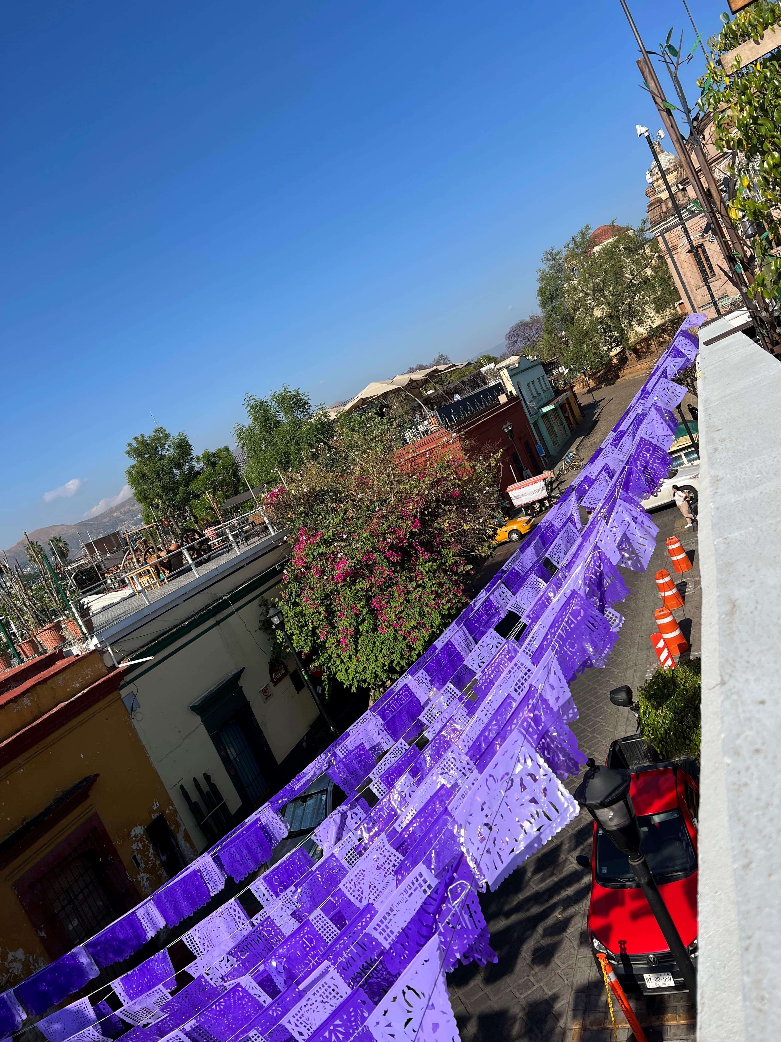 The Colors of Oaxaca: A Culinary & Folk Art Tour curated by Cathy Vermillion