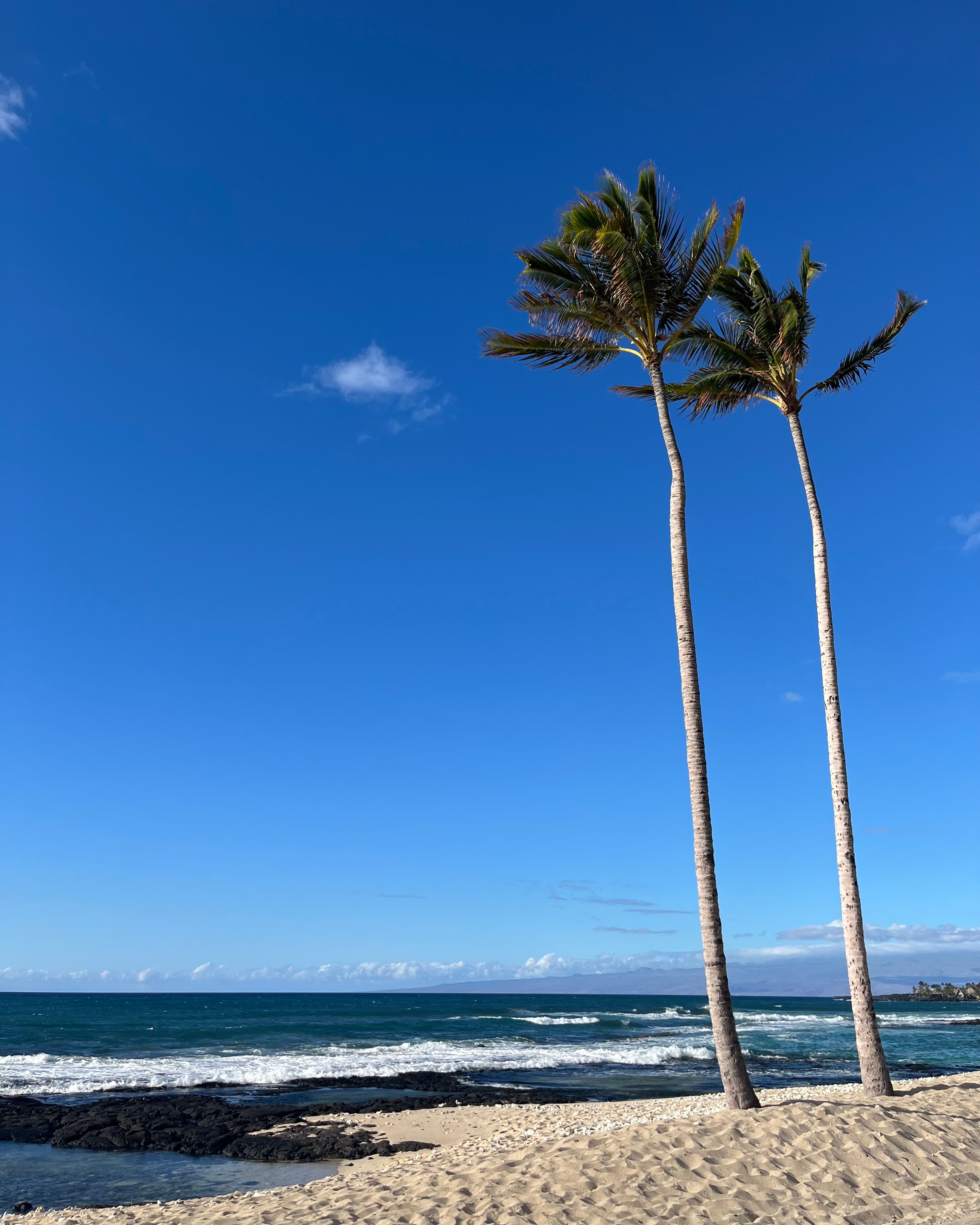 Hawai'i: Your Seven-Day Adventure on the Big Island curated by Tracy Delossantos