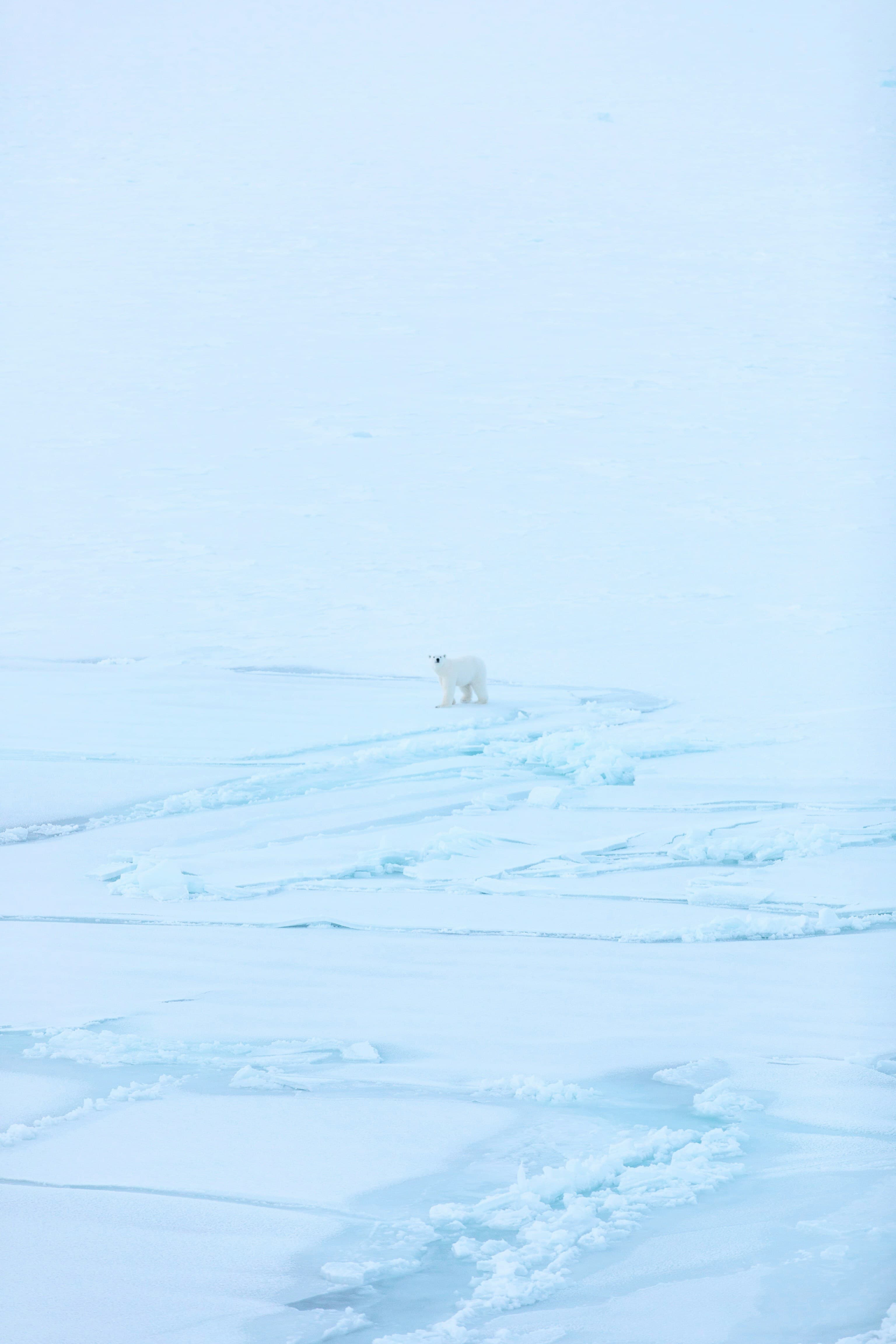 Churchill for All Ages & Seasons curated by Niriha Kadambi